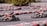 Two people are racing go-karts on a curving track surrounded by stacked tires painted in red, white, and black. Both individuals are wearing helmets as they speed around a bend. The background features trees and a blurred figure watching the race.