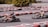 Two people are racing go-karts on a curving track surrounded by stacked tires painted in red, white, and black. Both individuals are wearing helmets as they speed around a bend. The background features trees and a blurred figure watching the race.