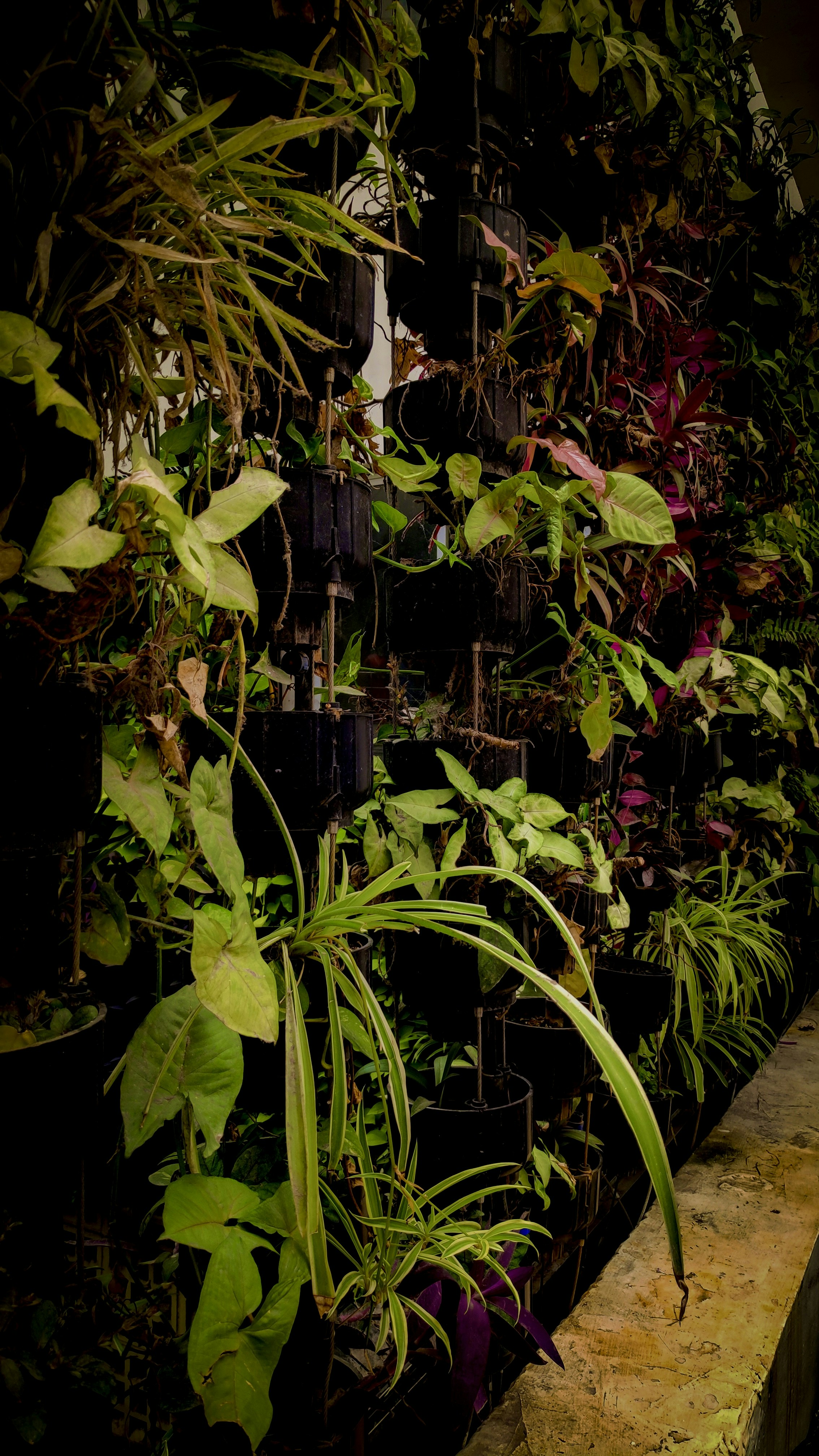 Photo by itspravinnayak