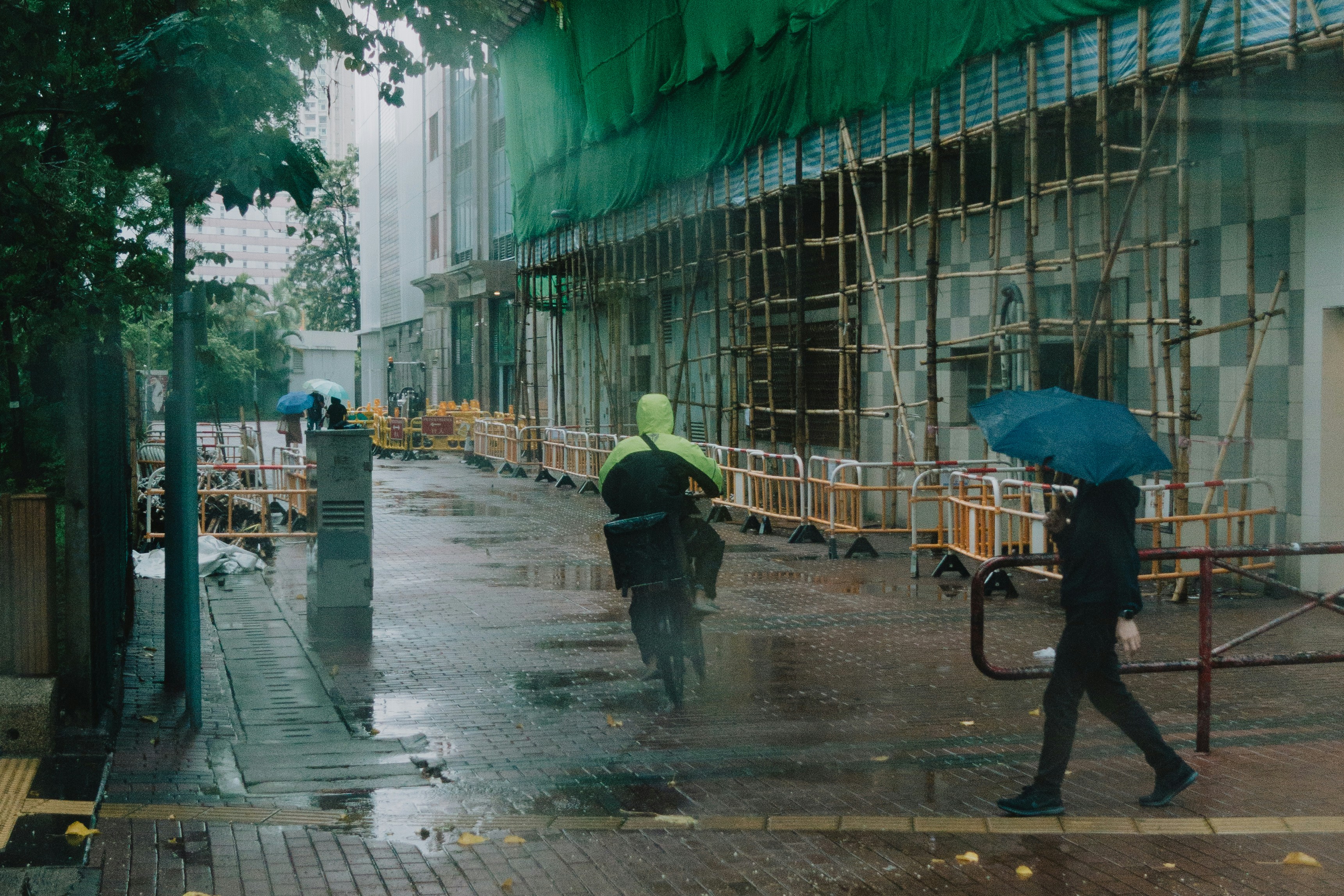 Photo by catgirlmutant