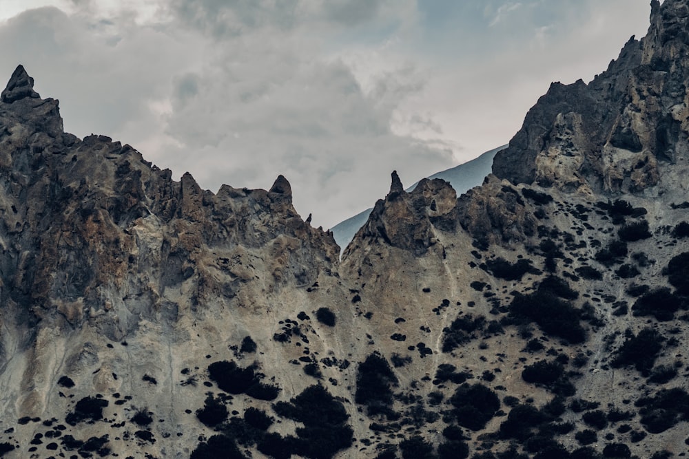 a rocky mountain with trees