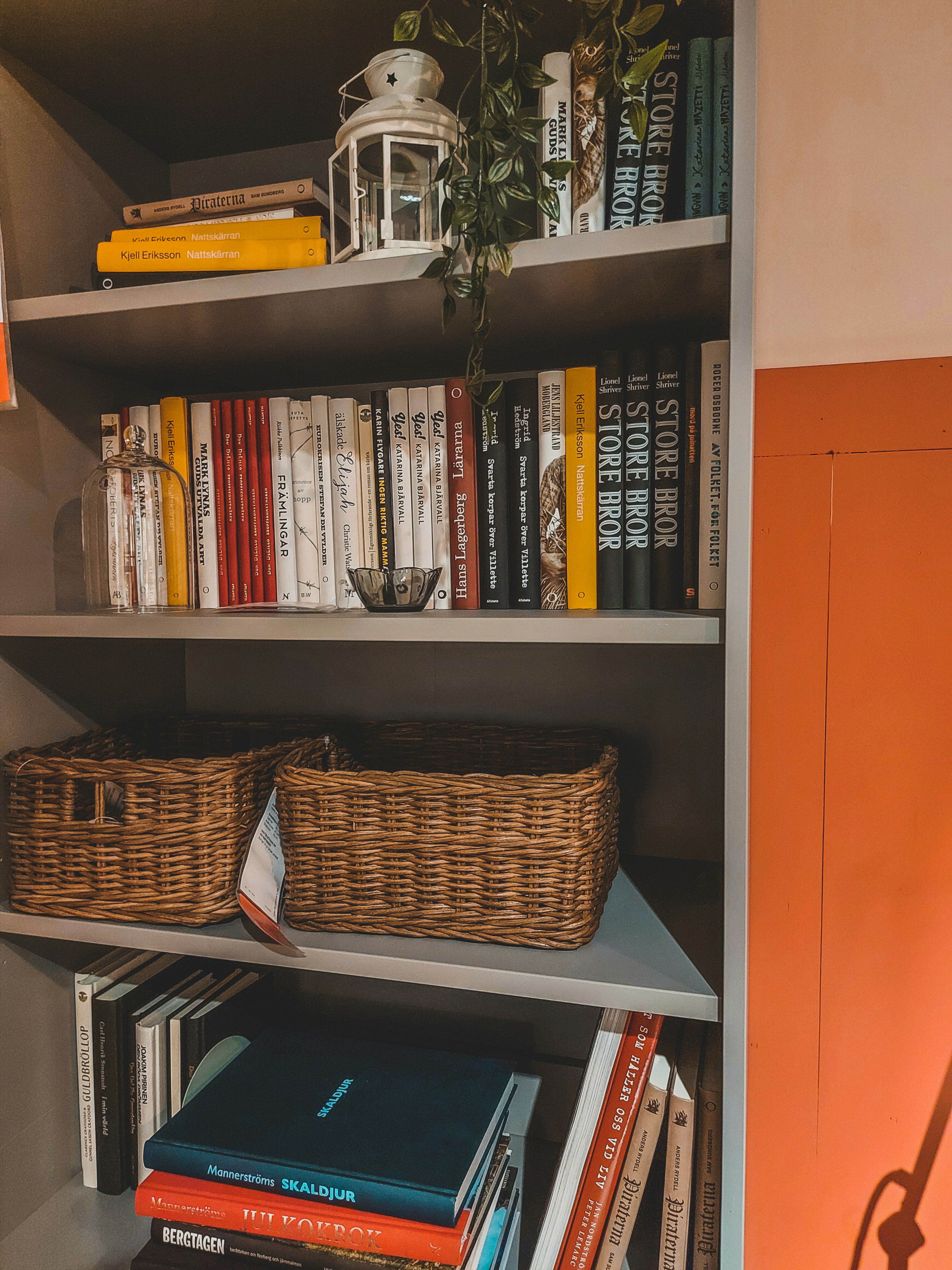 Photo by czapp_arpad