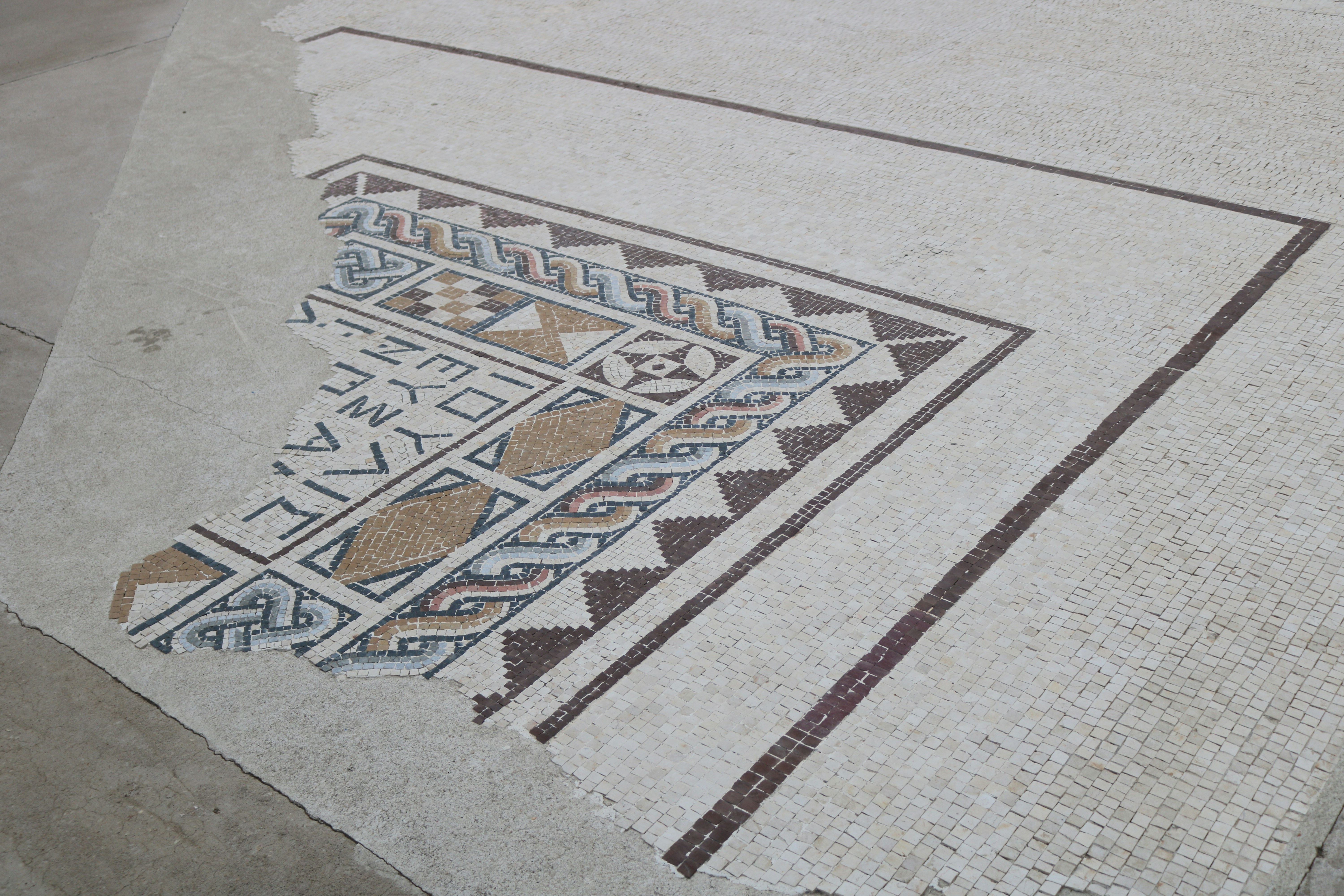 Elegant Terraforma Tiles