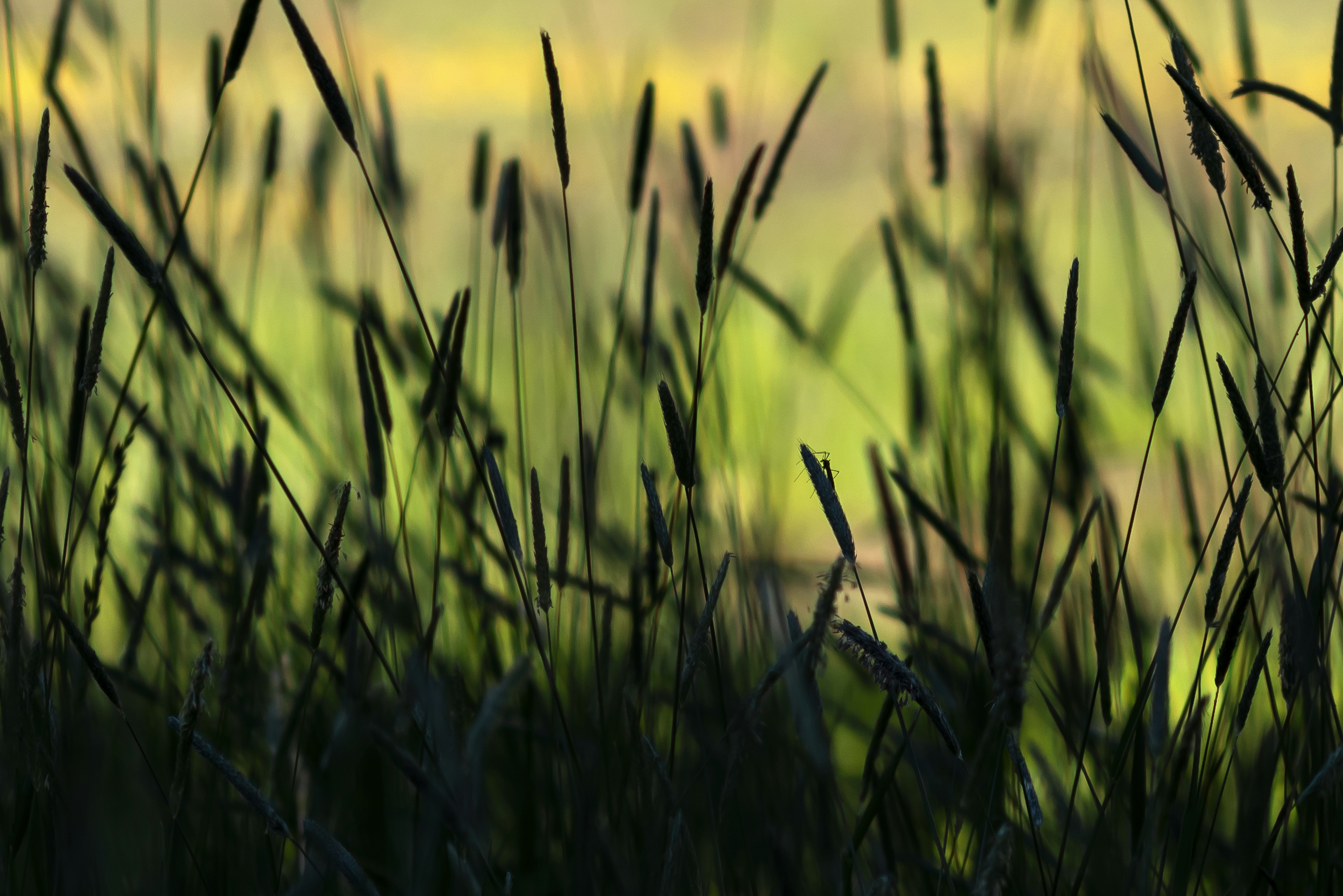 Photo by switch_dtp_fotografie