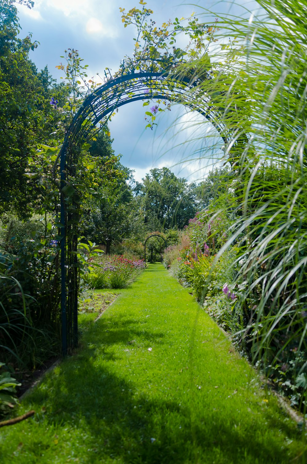 a garden with a large mirror