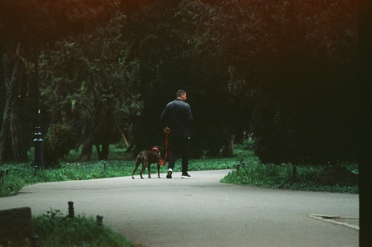 Persona paseando a un perro con correa