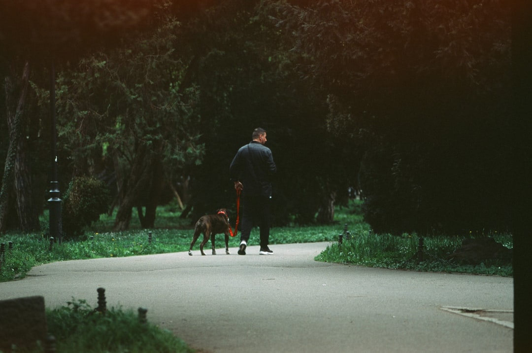 Man walking a dog on a leash through a park pathway