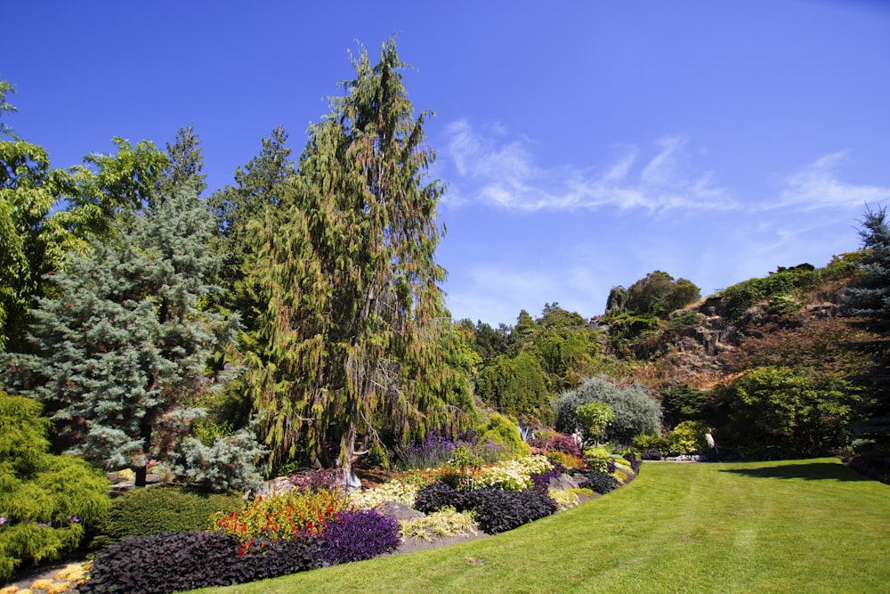 a beautiful garden in a park