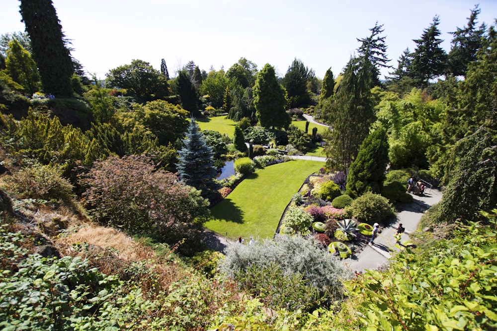 a garden with trees and bushes