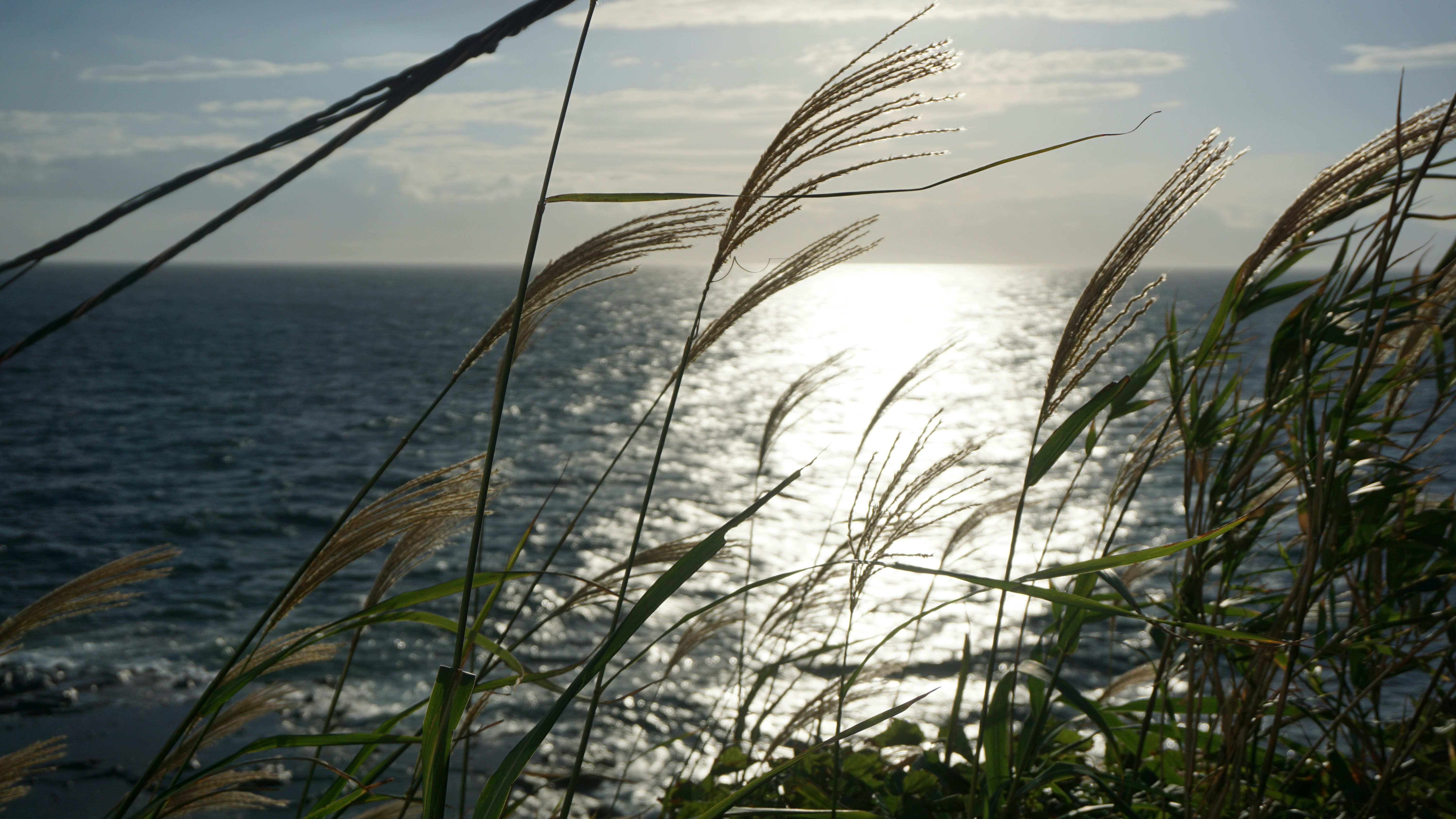 Ocean views in Enoshima