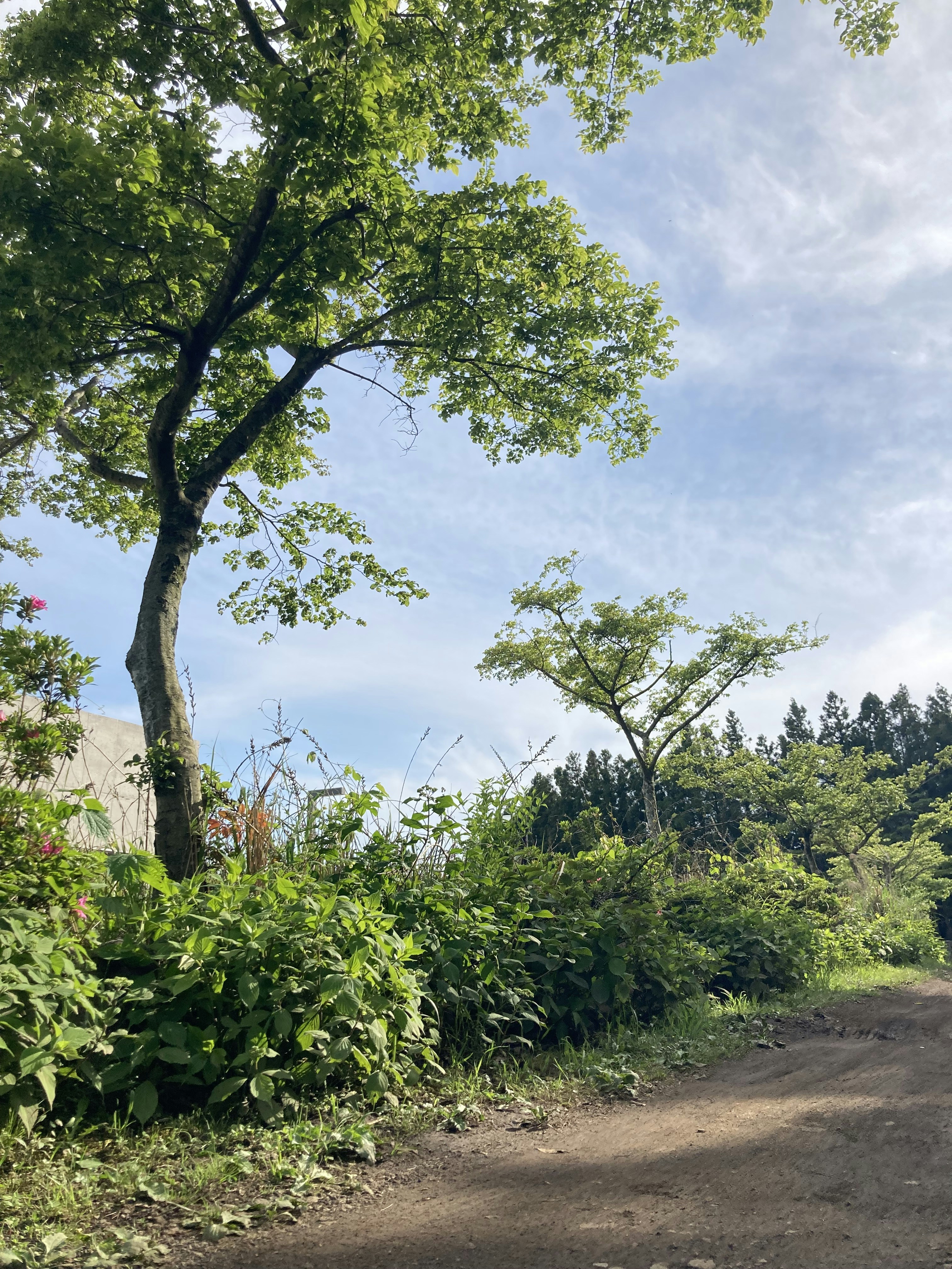 Photo by horserat