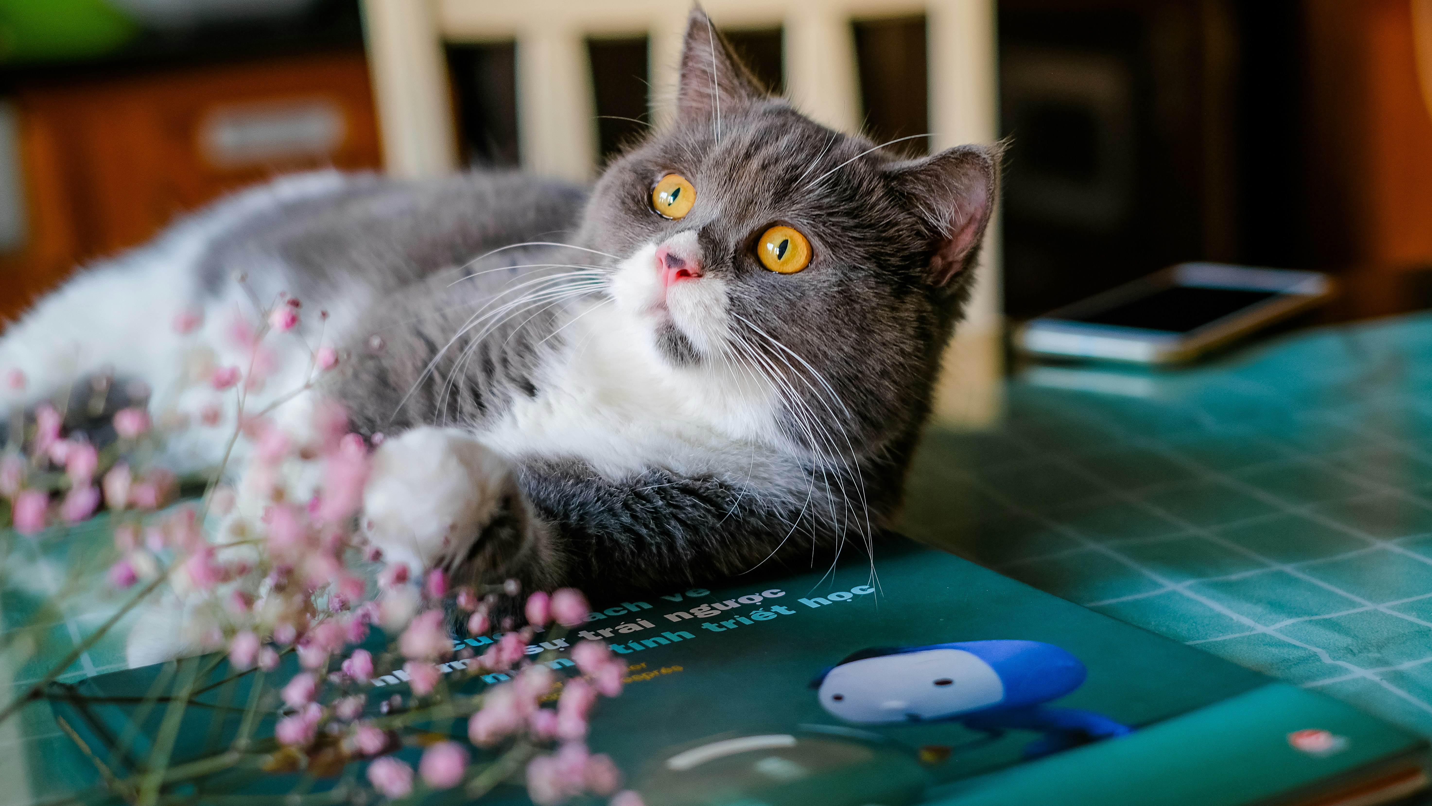 Hide Food Around the Apartment (image credits: unsplash)