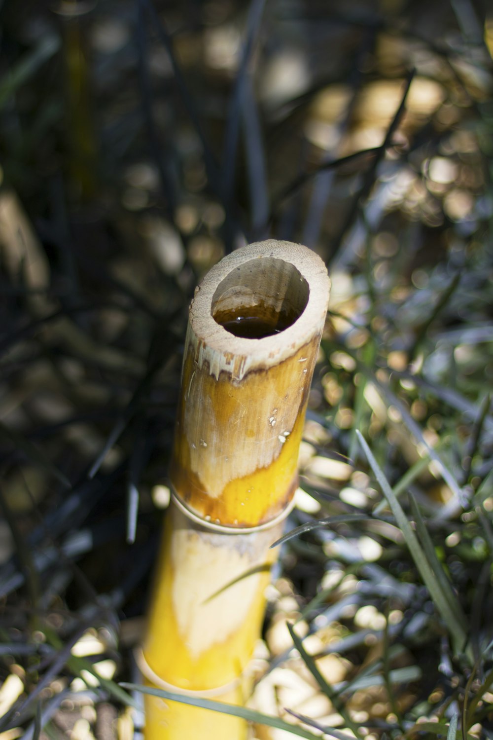 a close-up of a yellow pipe