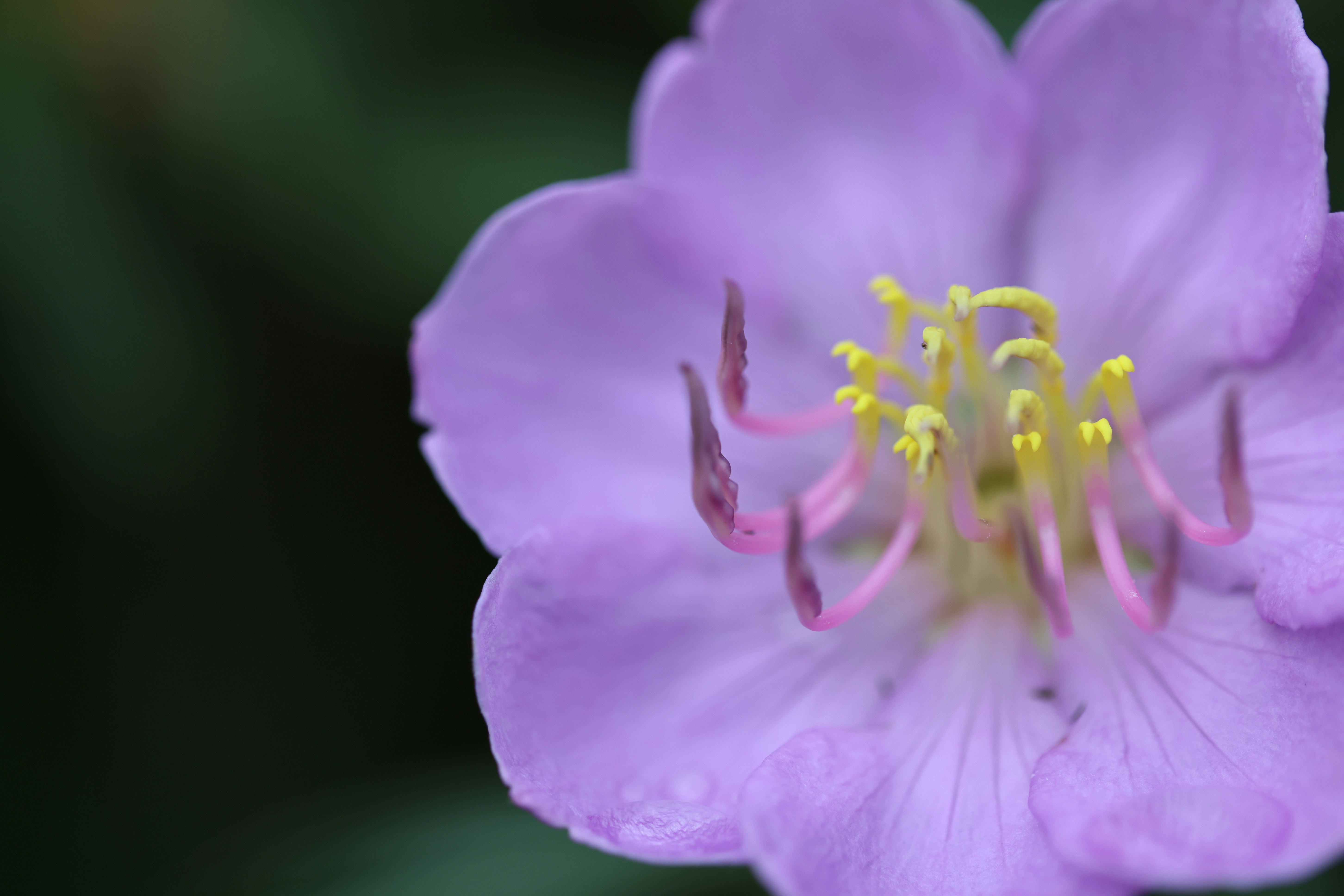 Photo by dickenslin76