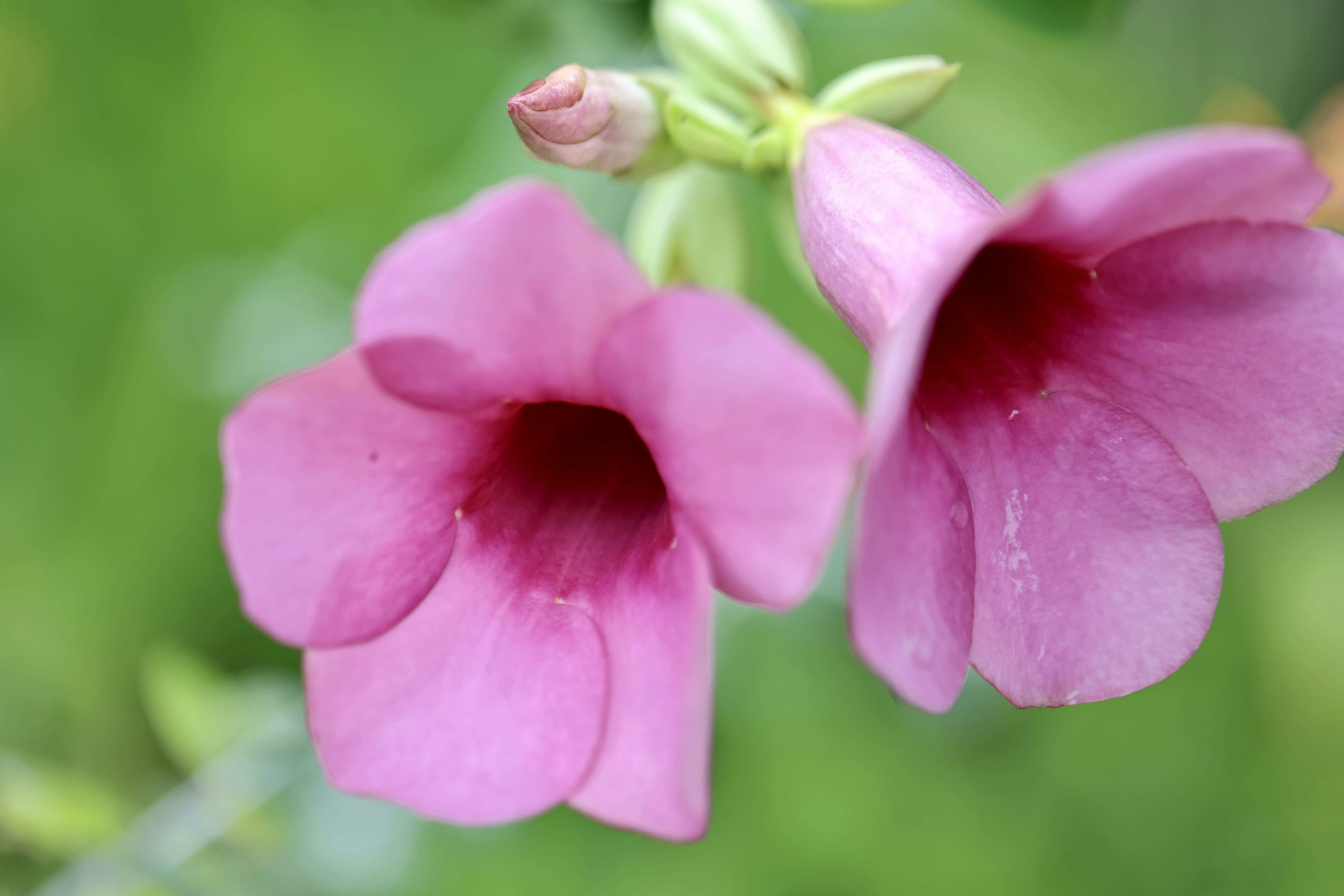 Photo by dickenslin76