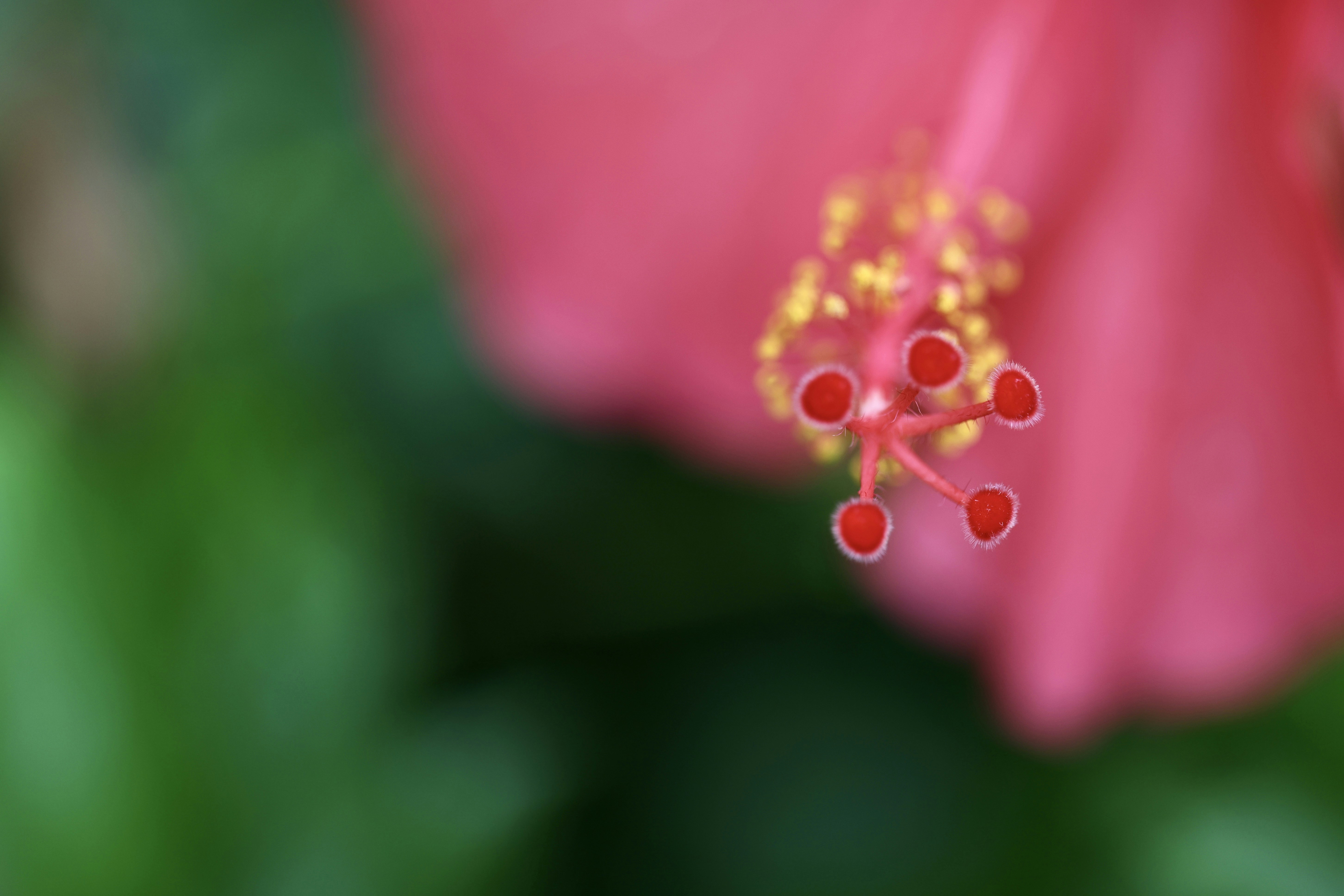 Photo by dickenslin76