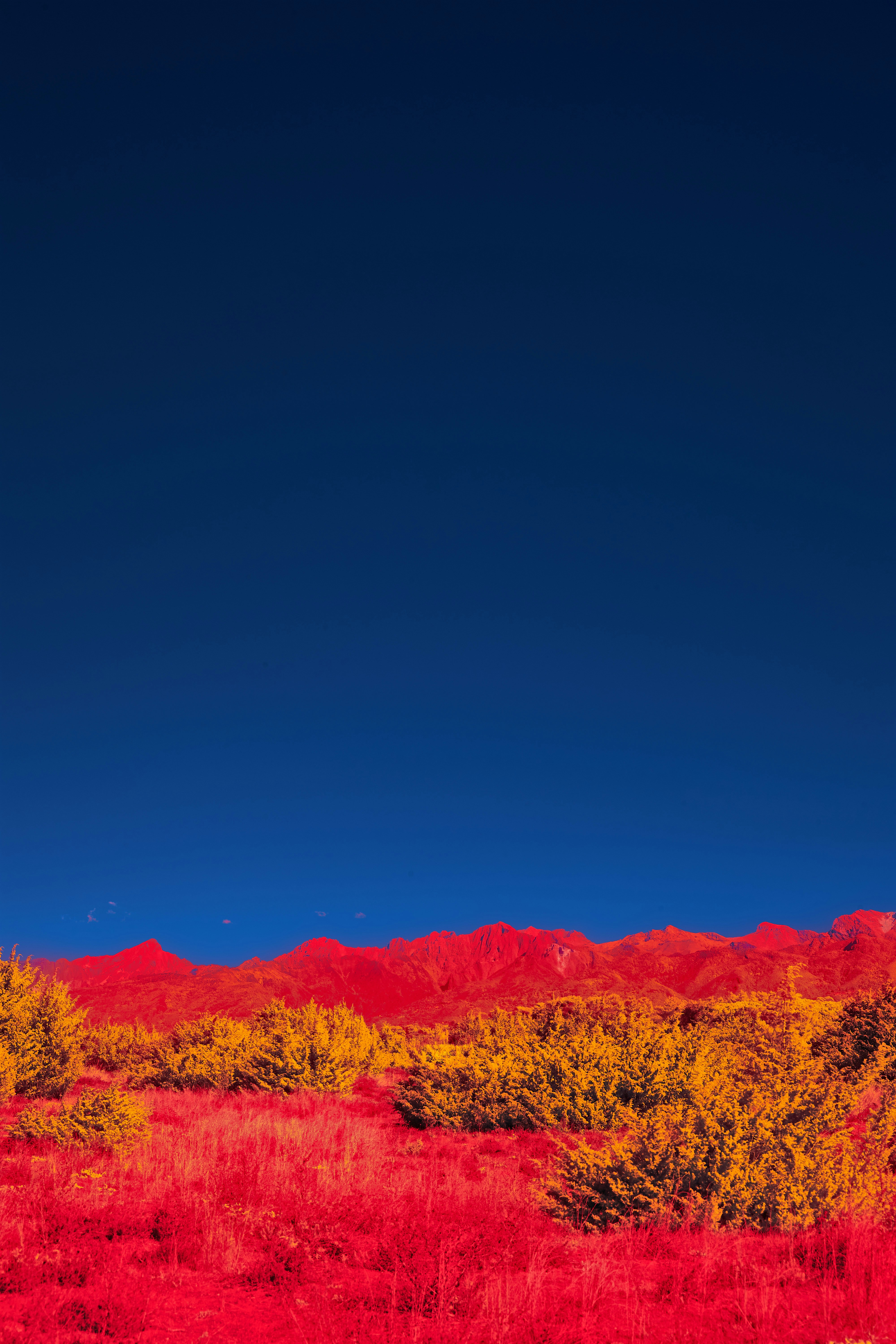 Photo by wolfgang_hasselmann