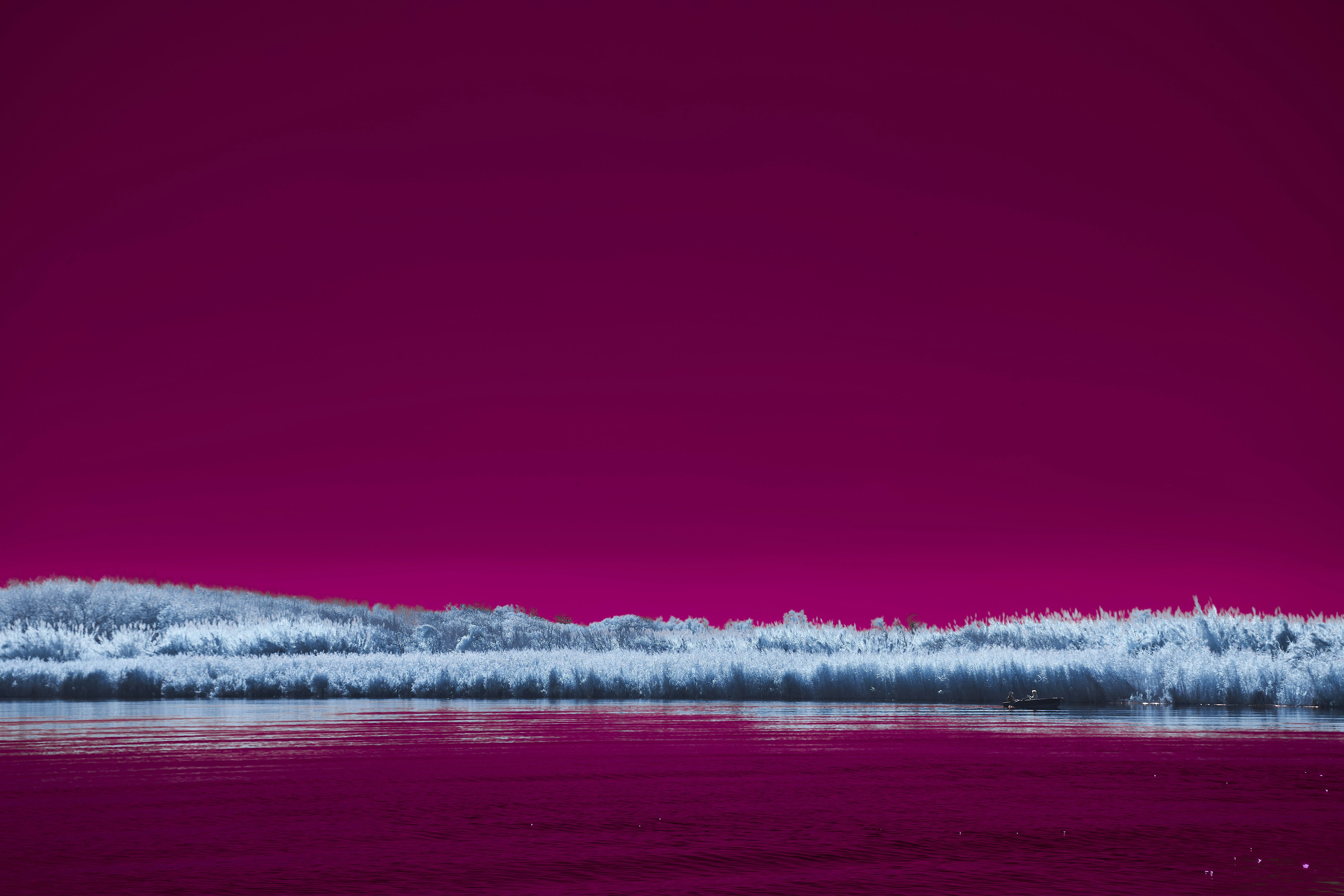 Photo by wolfgang_hasselmann