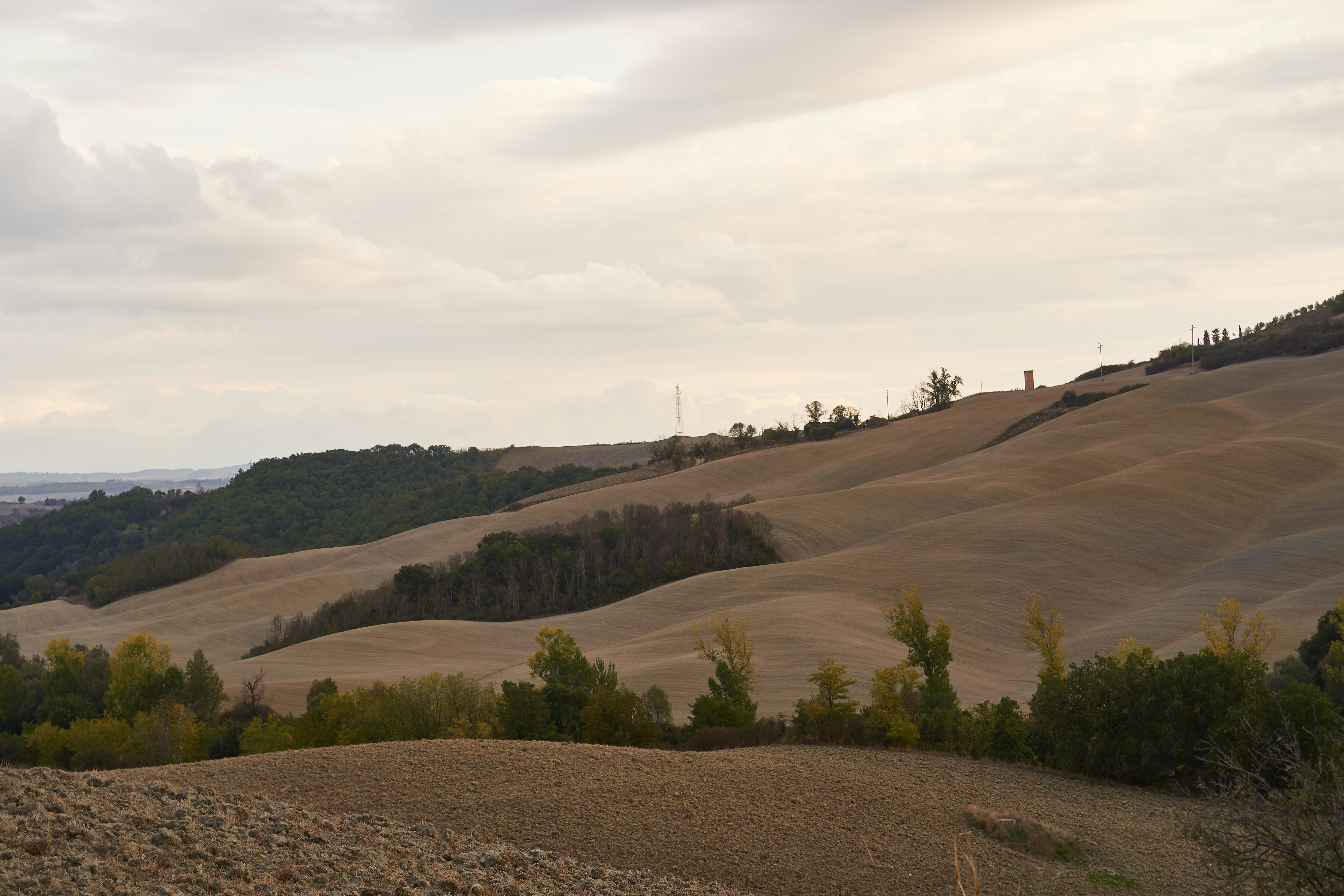 Photo by wolfgang_hasselmann