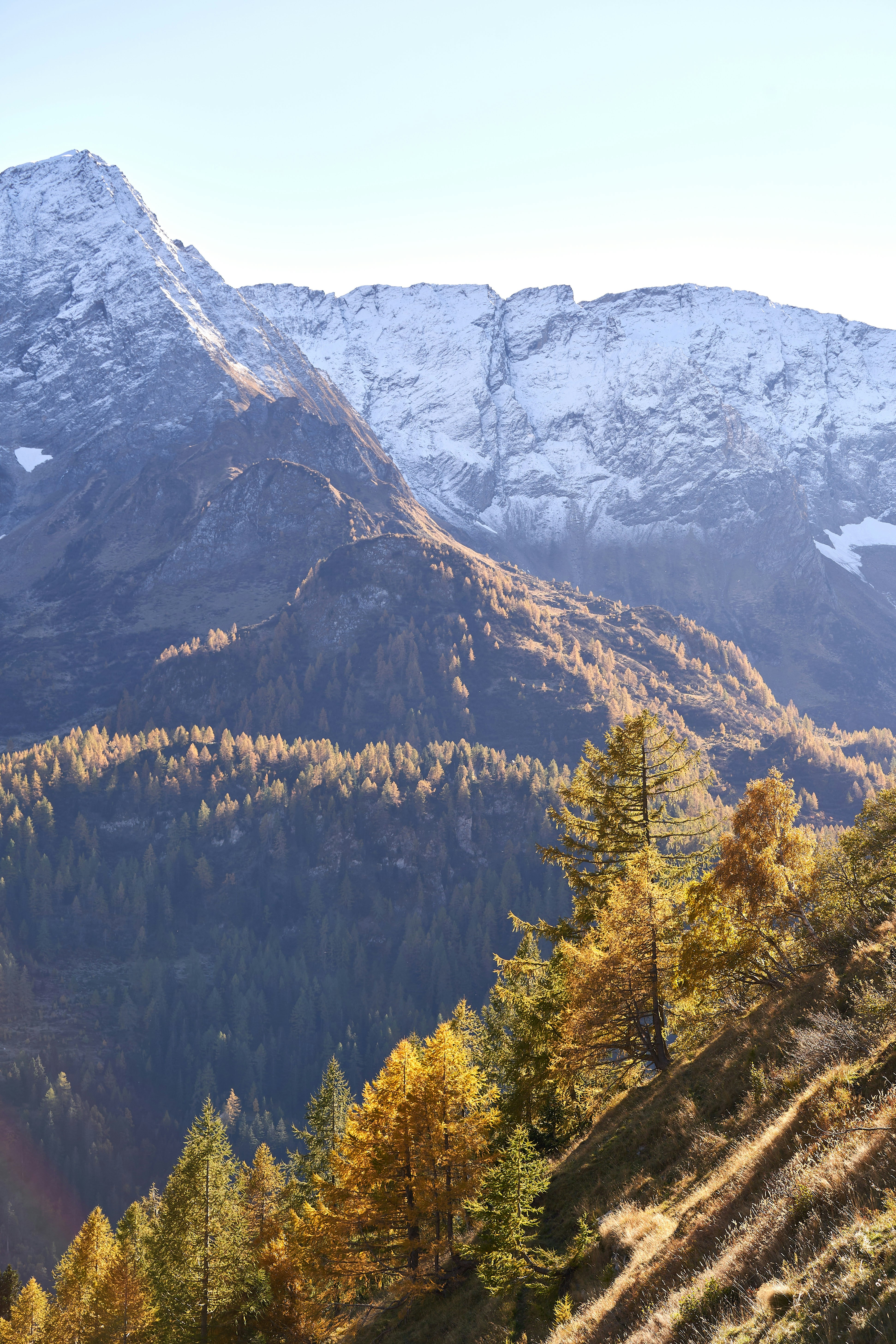 Photo by wolfgang_hasselmann