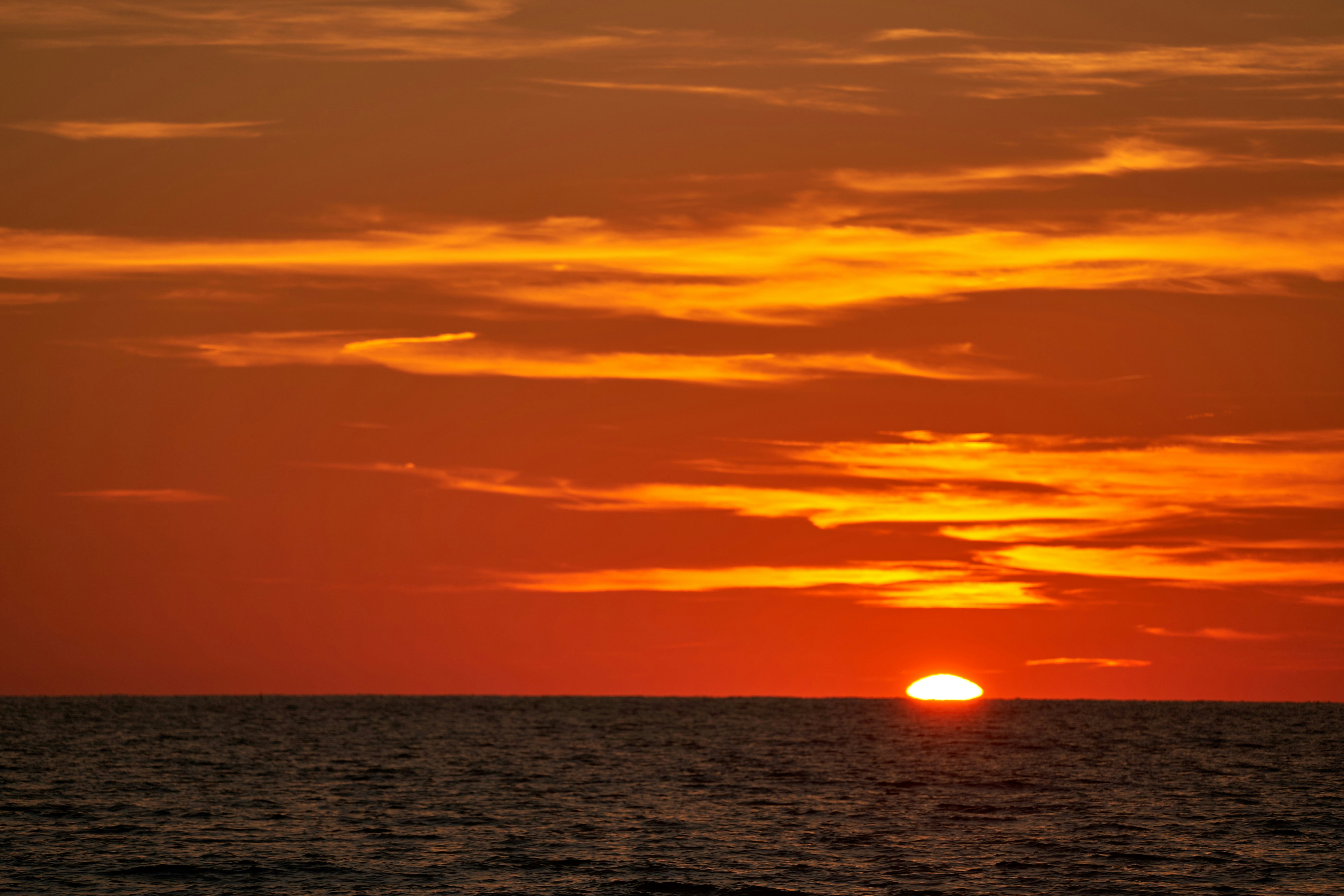 Photo by wolfgang_hasselmann