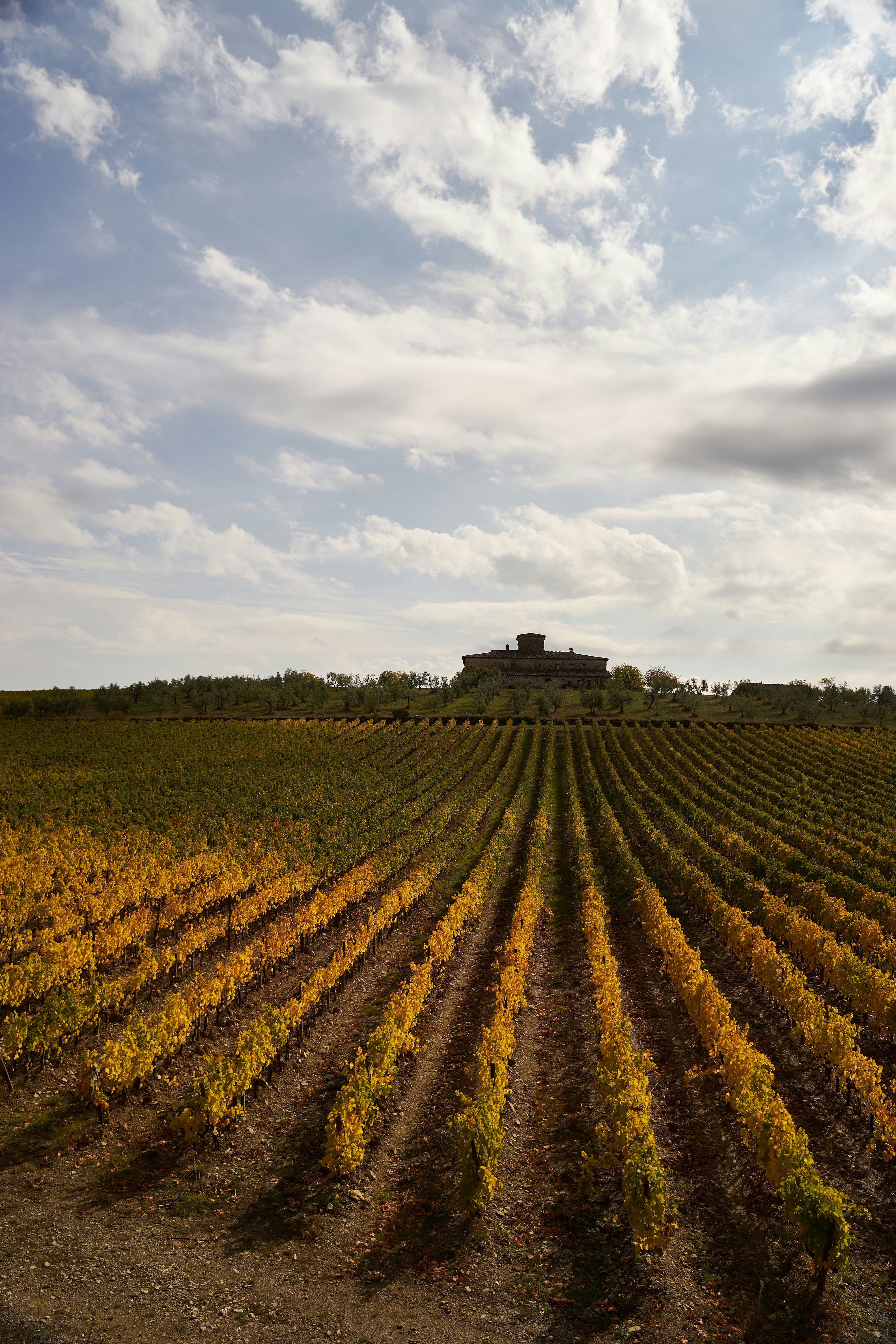 Photo by wolfgang_hasselmann