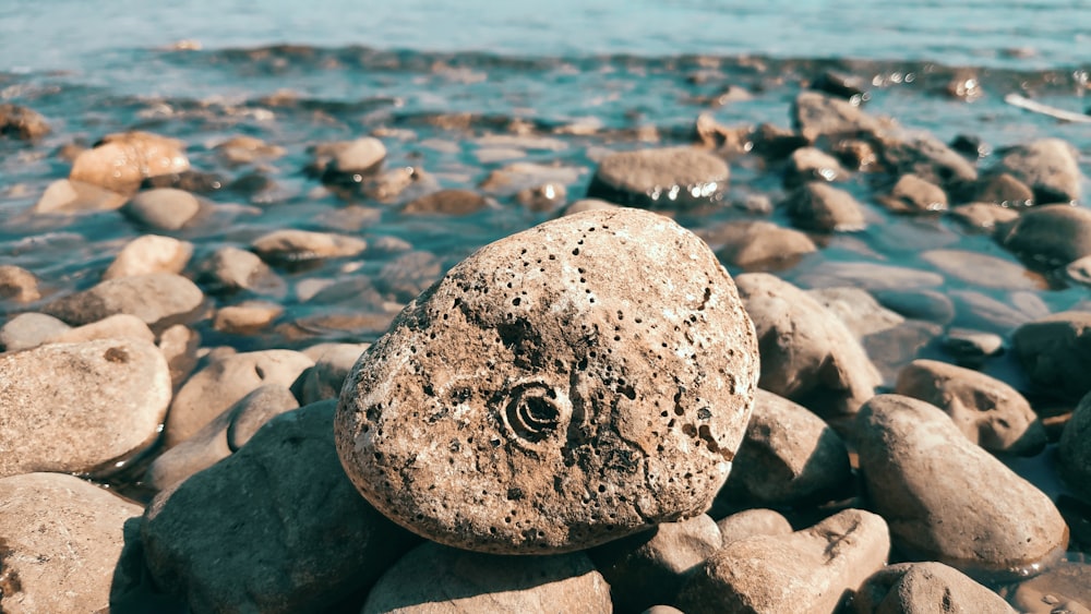 a rock on a beach