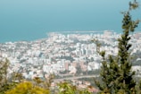 A coastal cityscape with a variety of buildings, including apartments and office complexes, bordered by the ocean. There is lush greenery in the foreground, including tall trees, with the blue sea stretching out to meet the horizon.