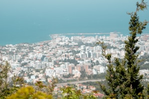A coastal cityscape with a variety of buildings, including apartments and office complexes, bordered by the ocean. There is lush greenery in the foreground, including tall trees, with the blue sea stretching out to meet the horizon.