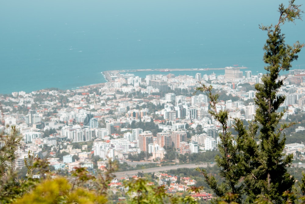 a city with many buildings