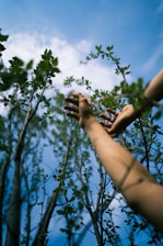 hands reaching out to a tree