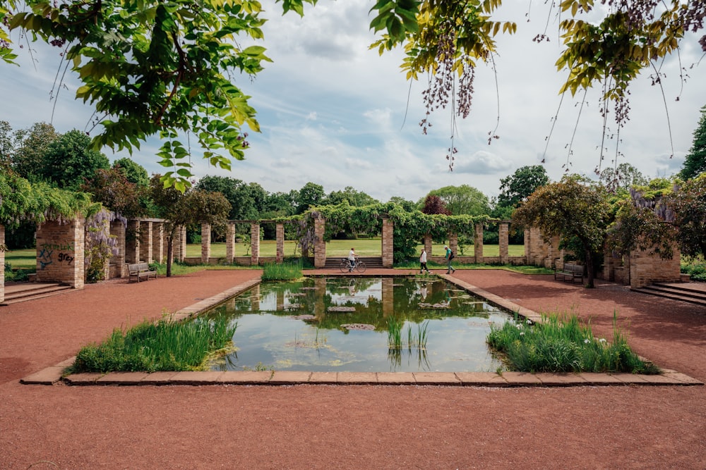 a pond in a park