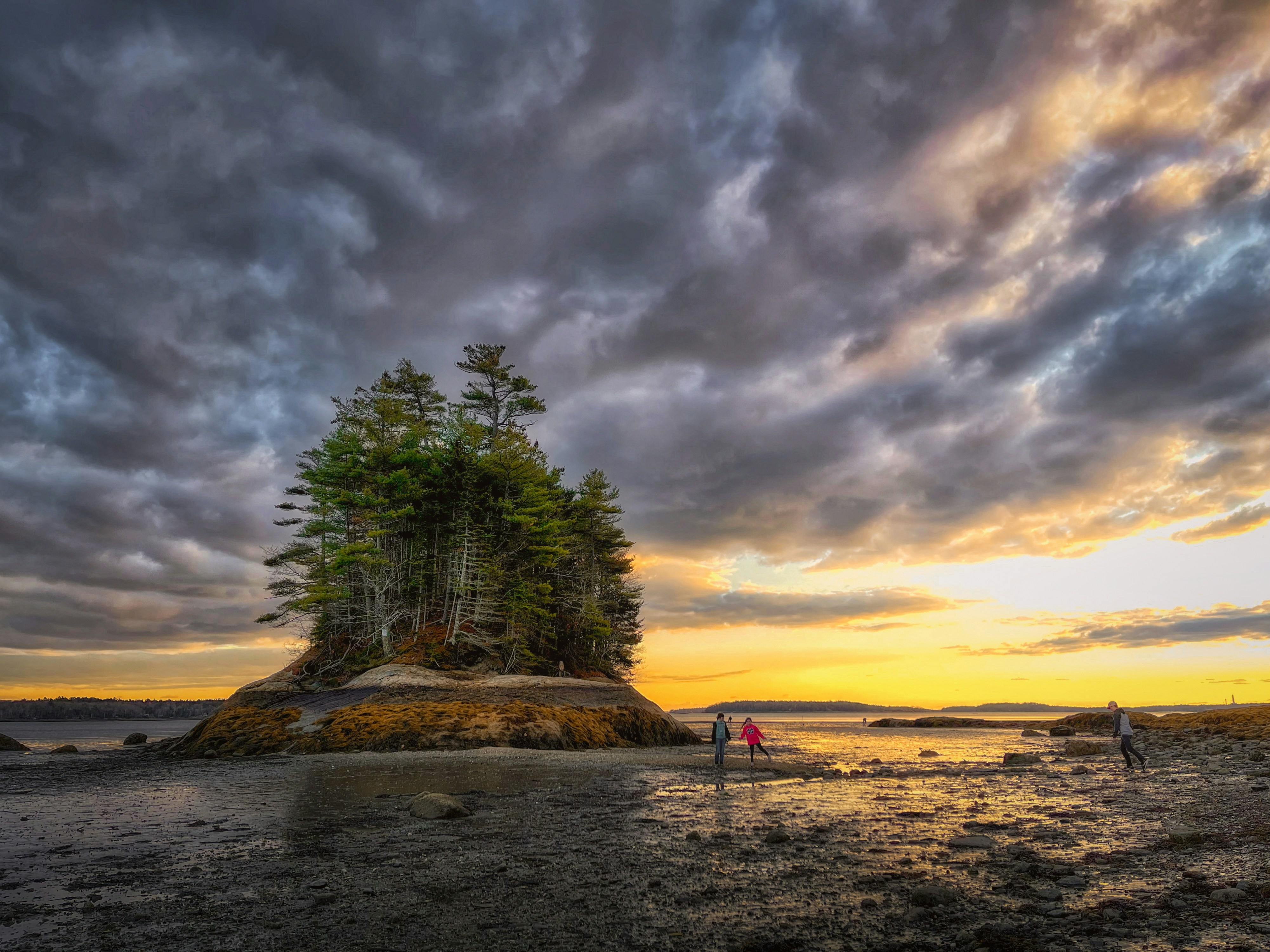 Photo by skylerewing