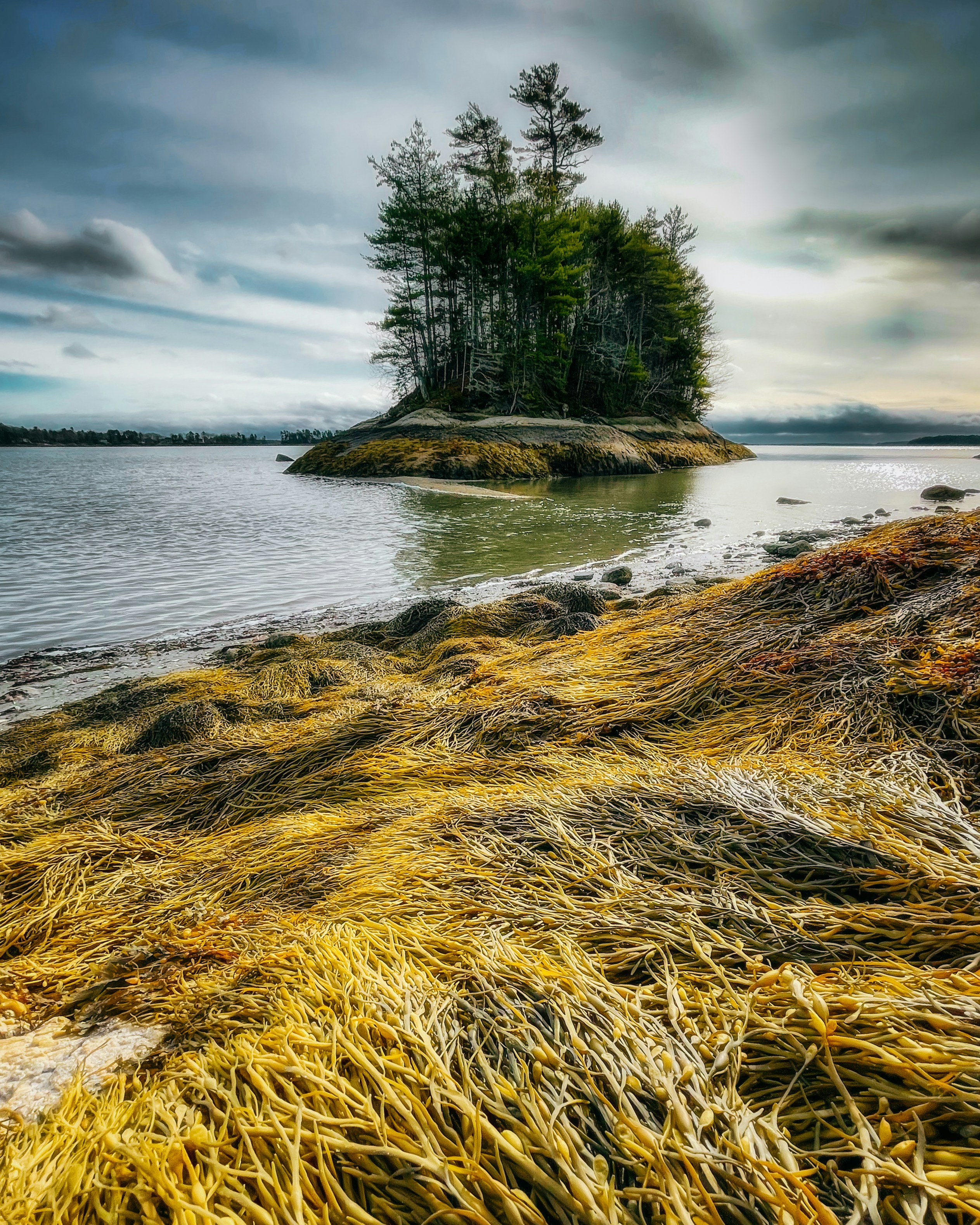 Photo by skylerewing