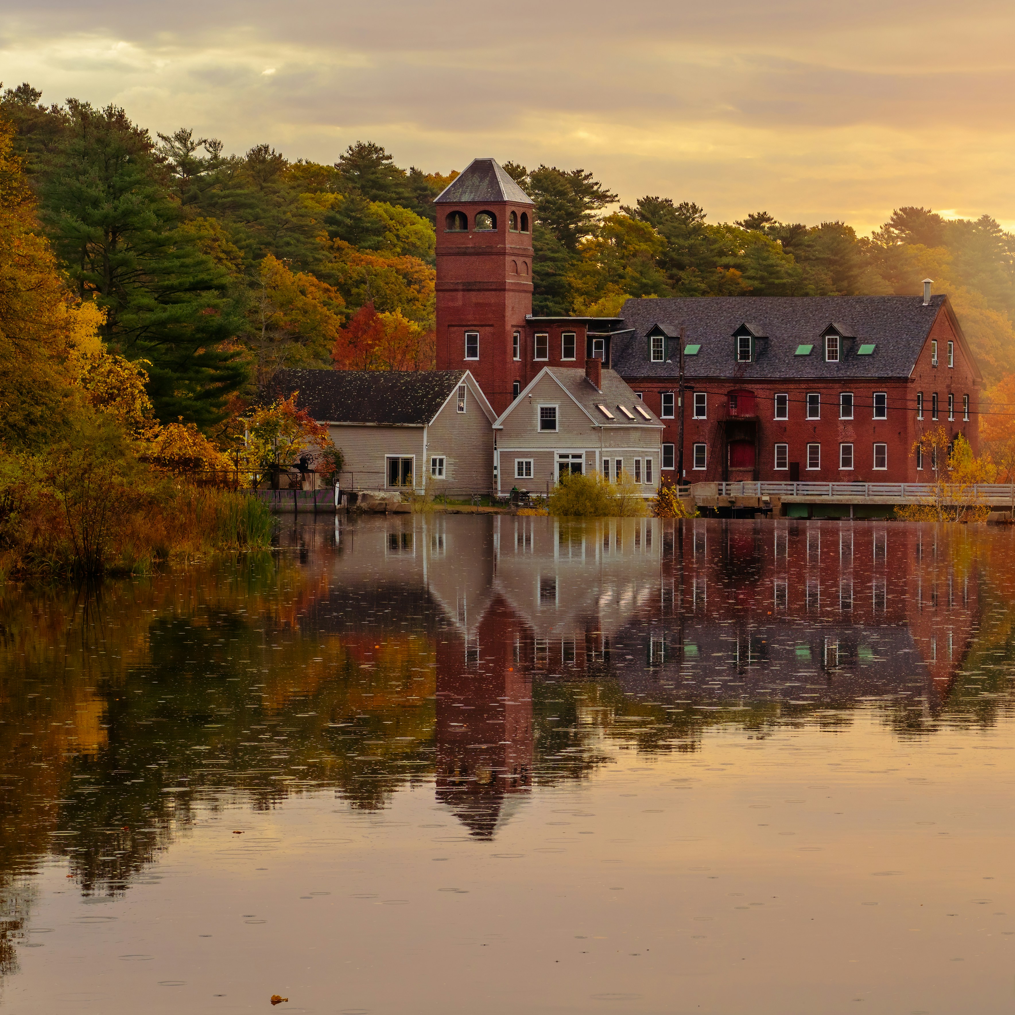 Photo by skylerewing