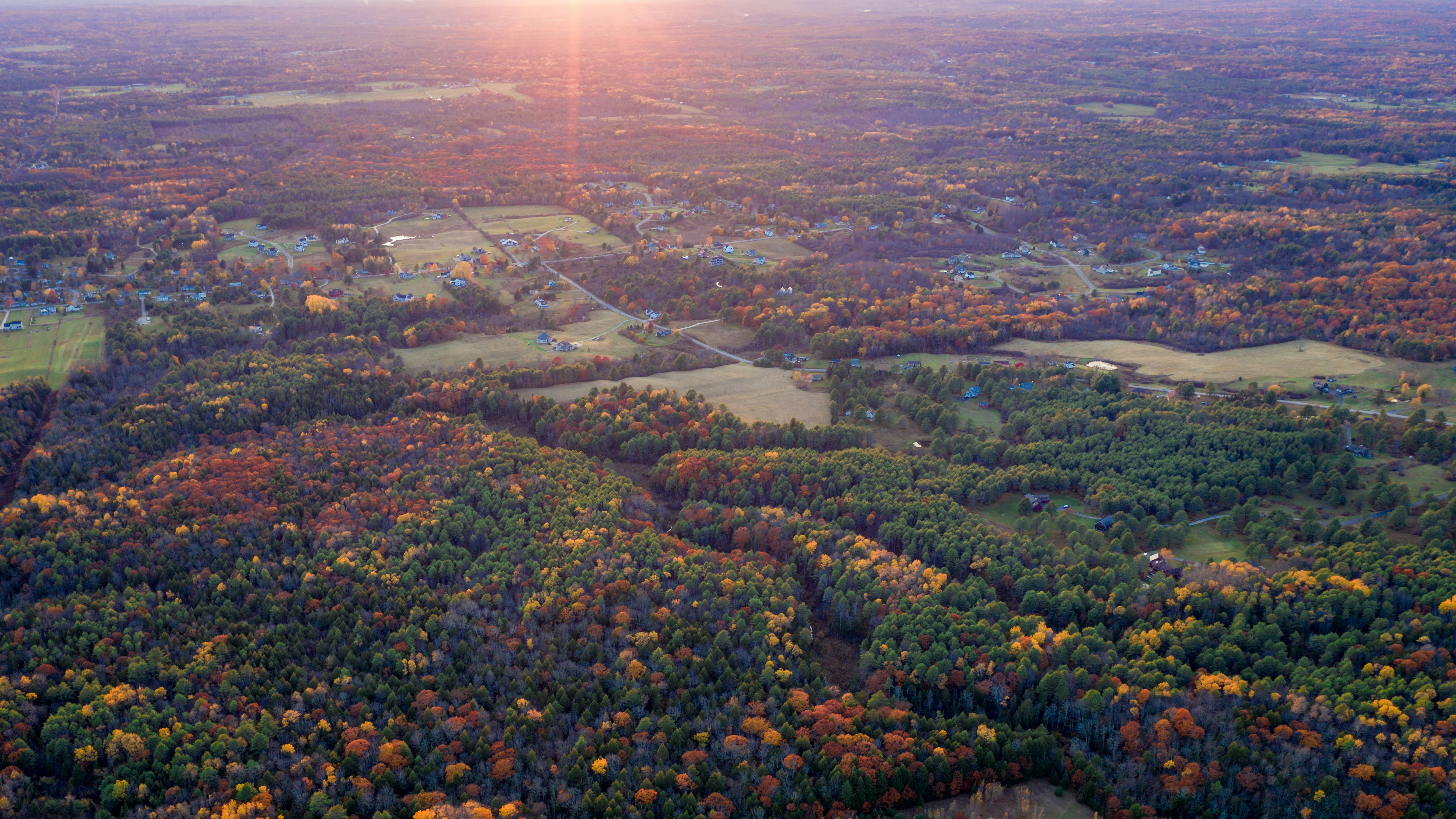 Photo by skylerewing