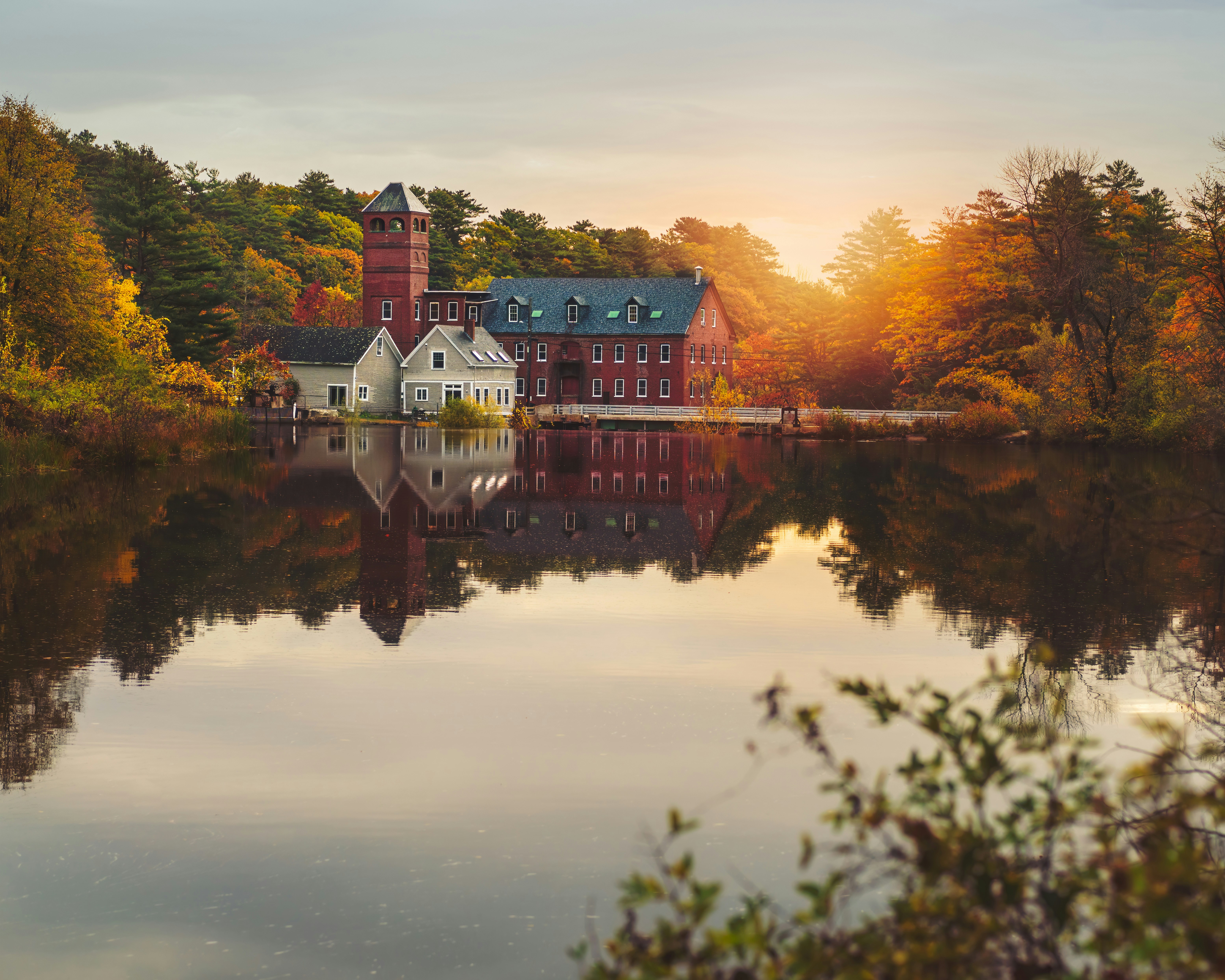 Photo by skylerewing