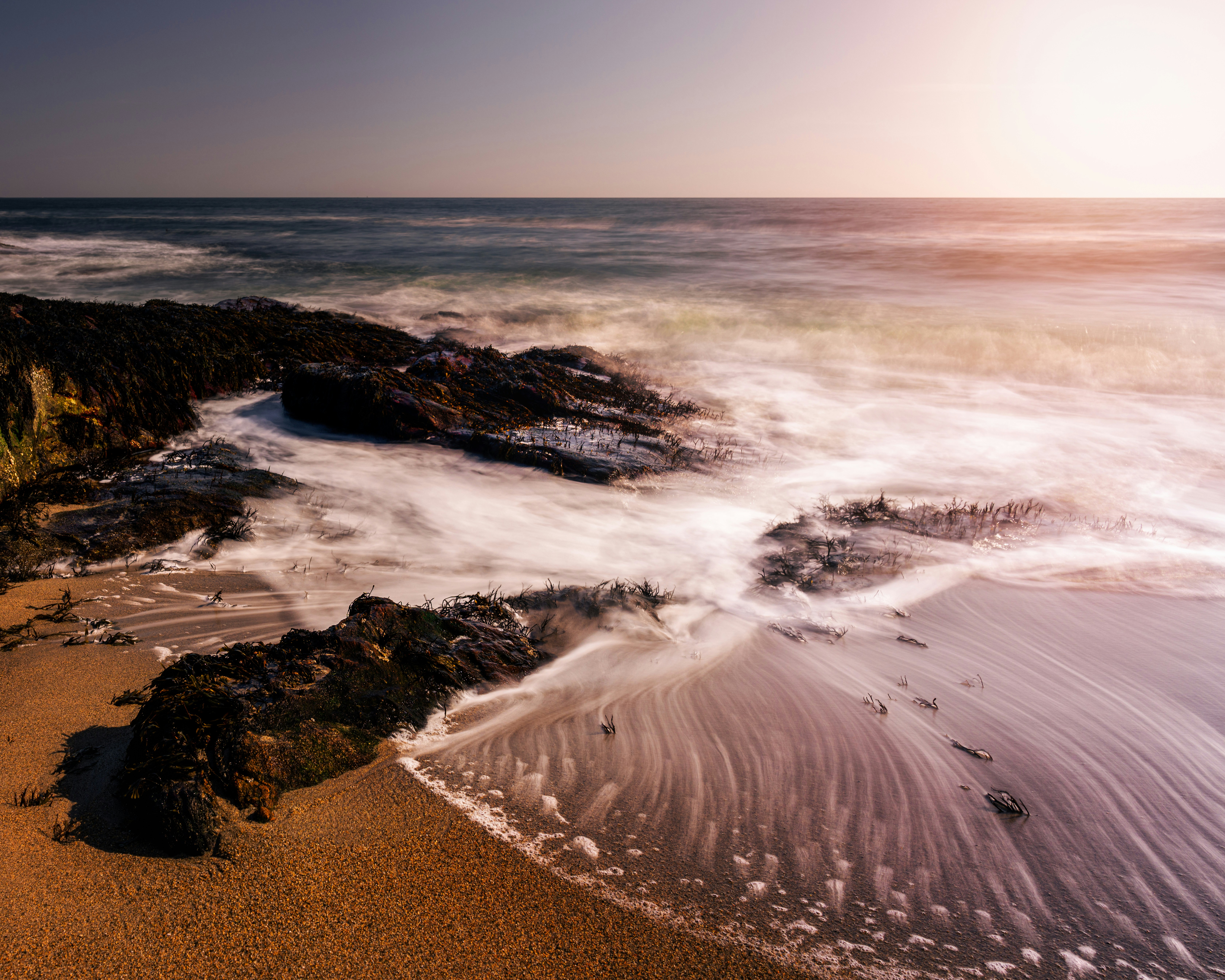 Photo by skylerewing