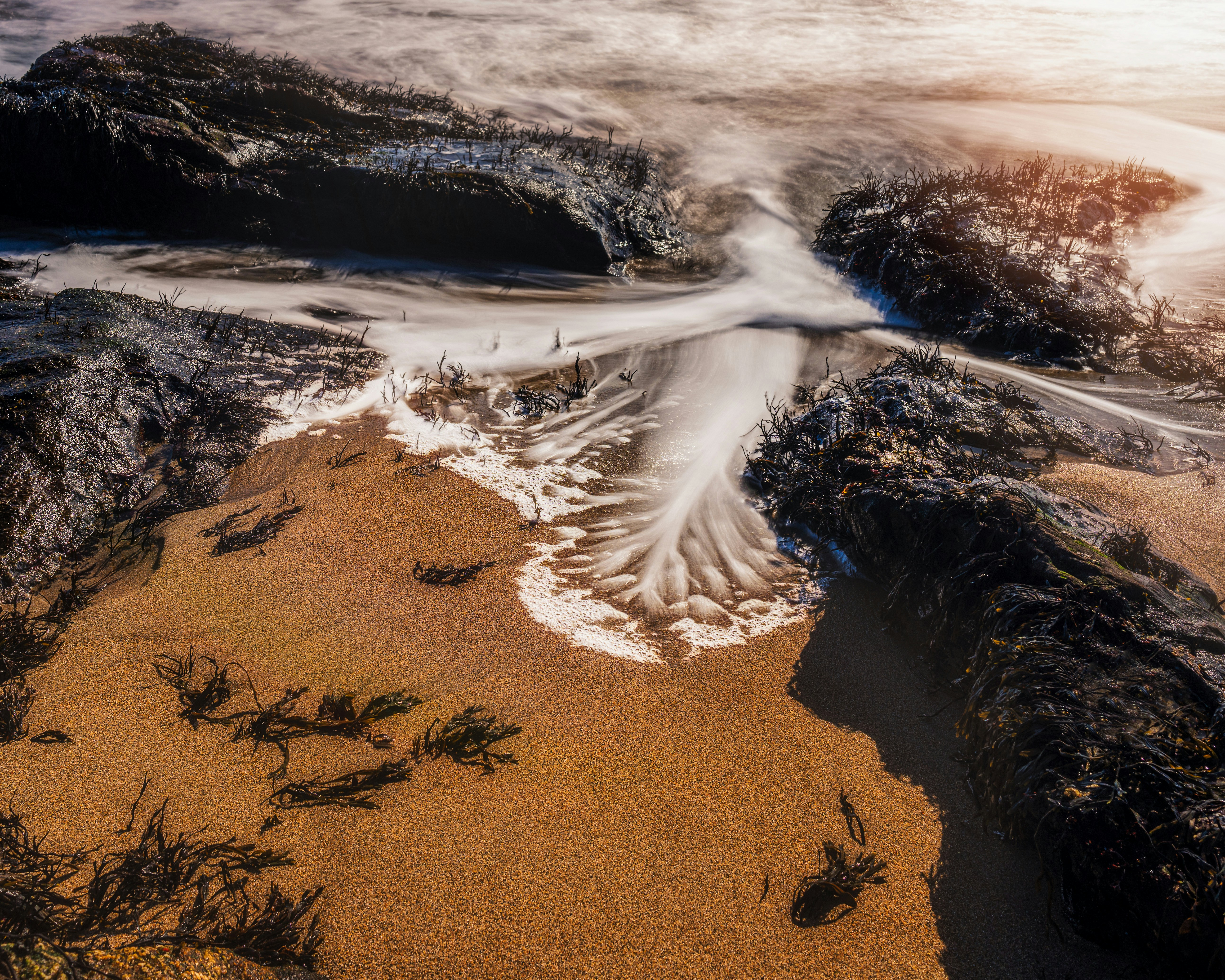 Photo by skylerewing