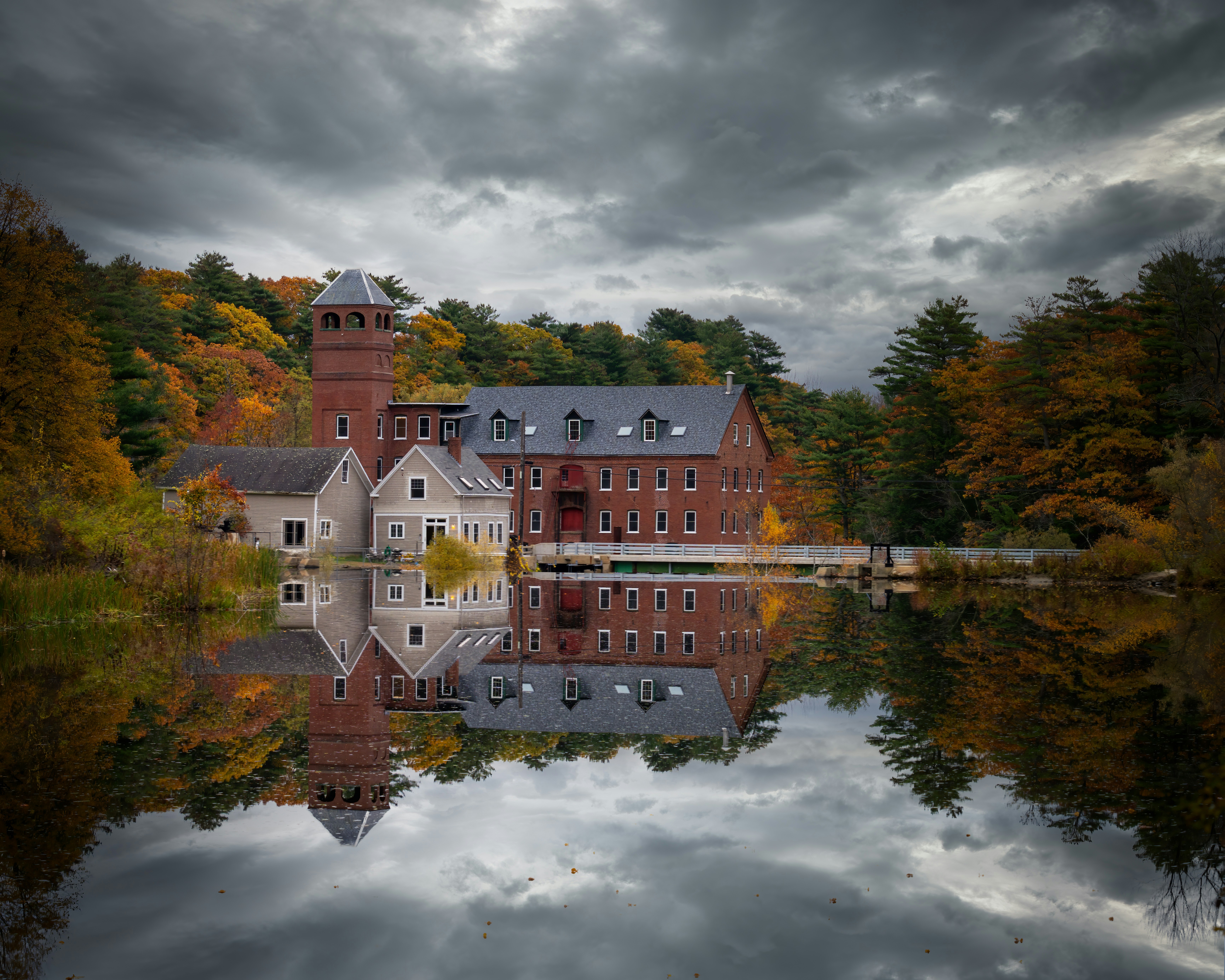 Photo by skylerewing