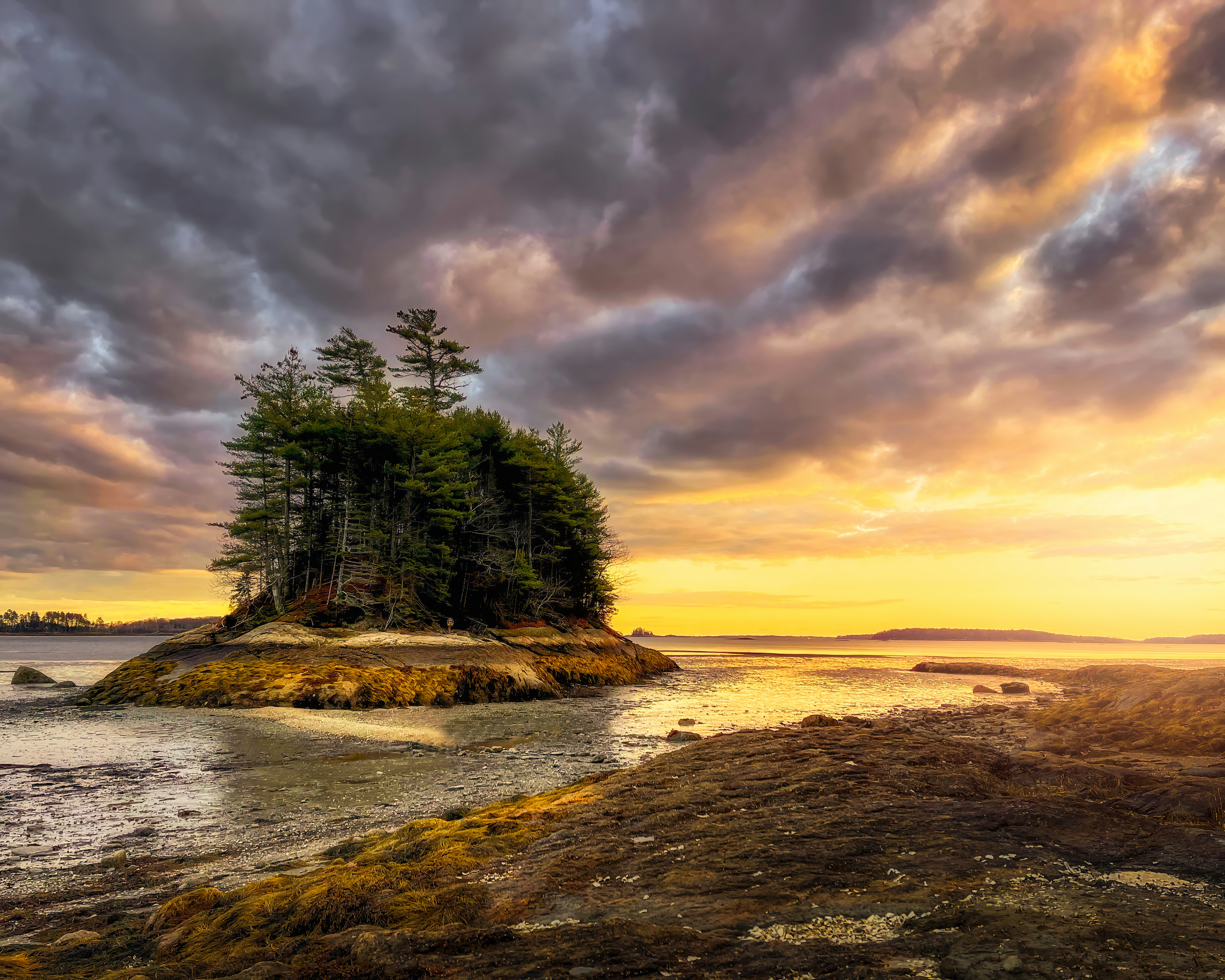 Photo by skylerewing