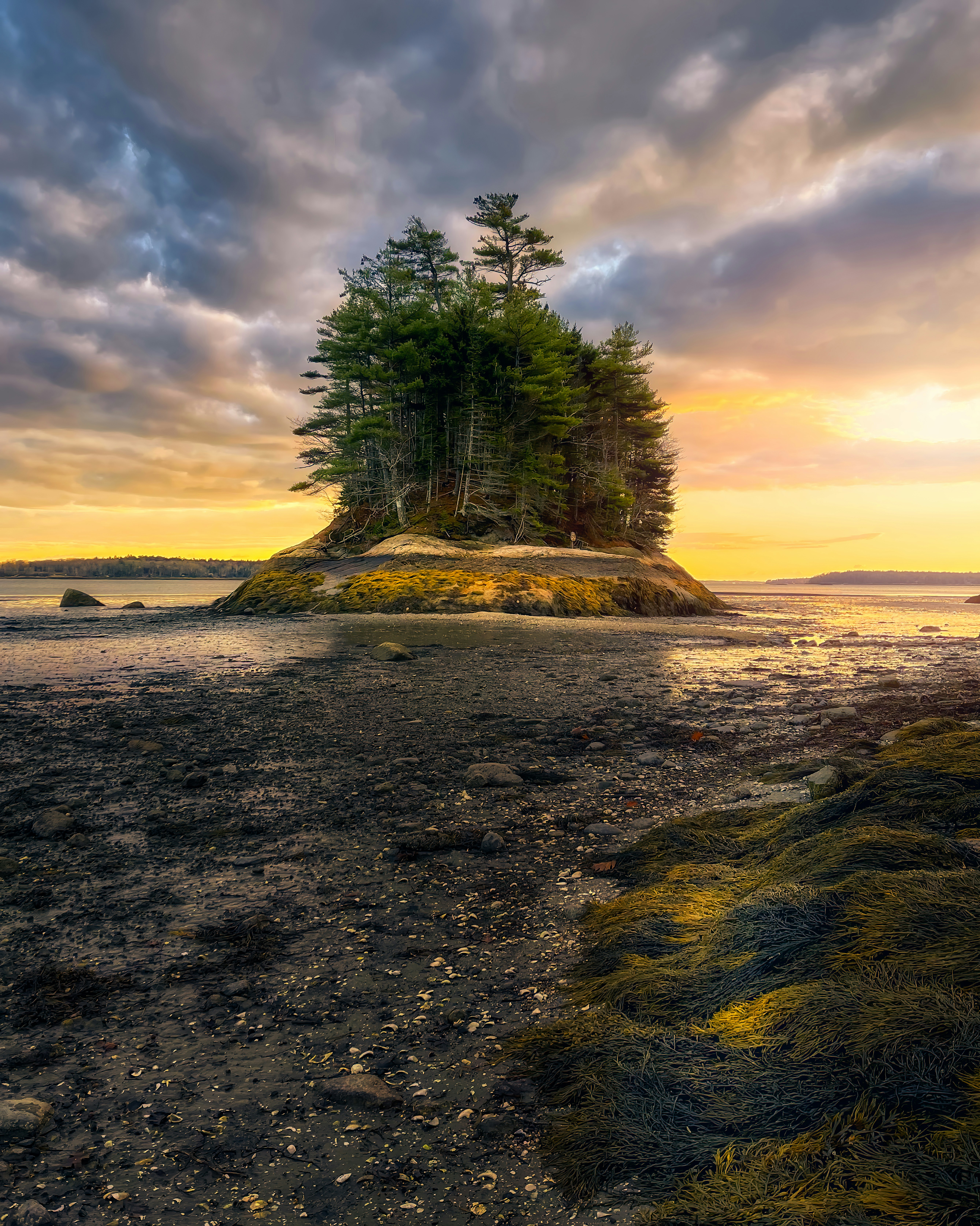 Photo by skylerewing