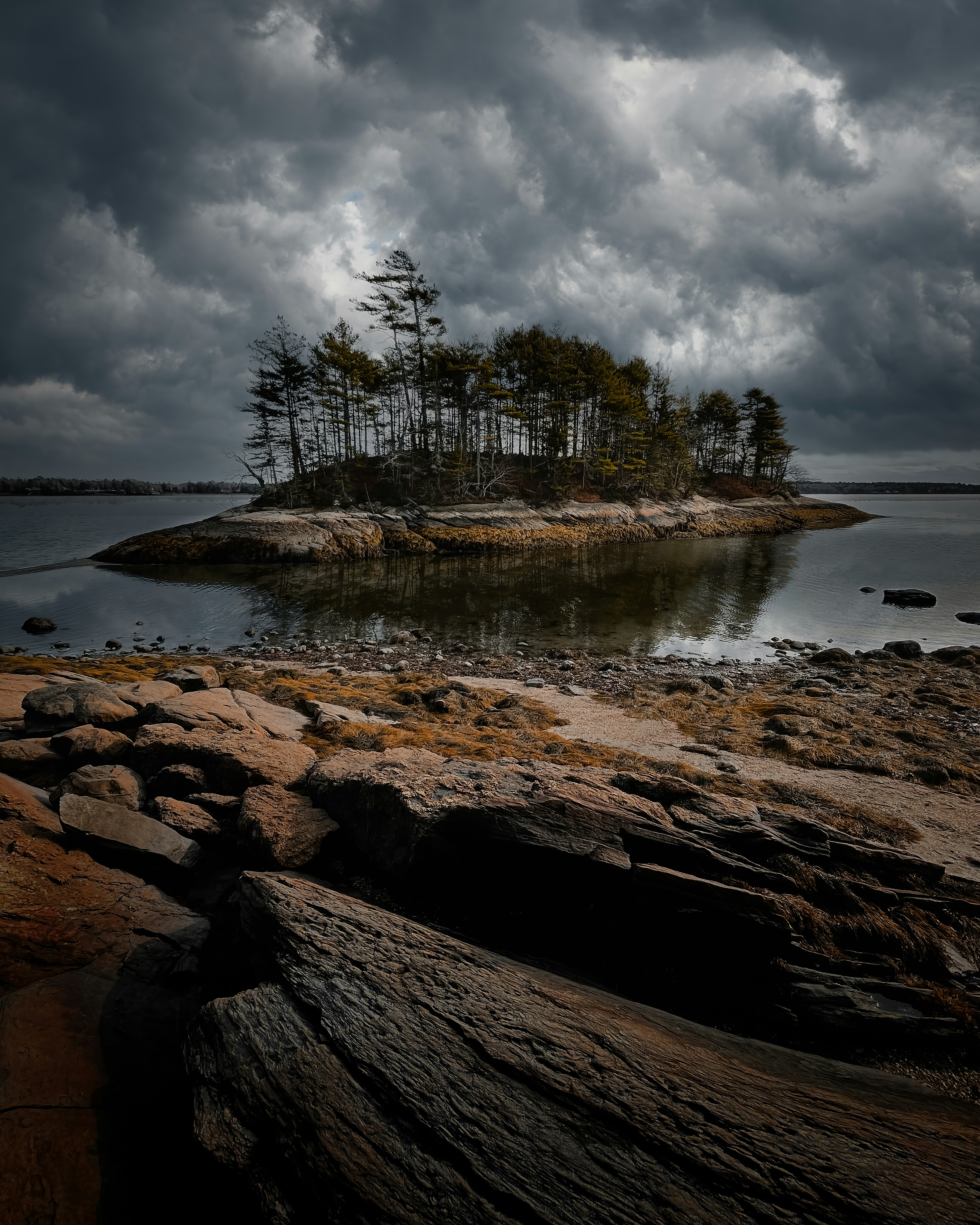 Photo by skylerewing