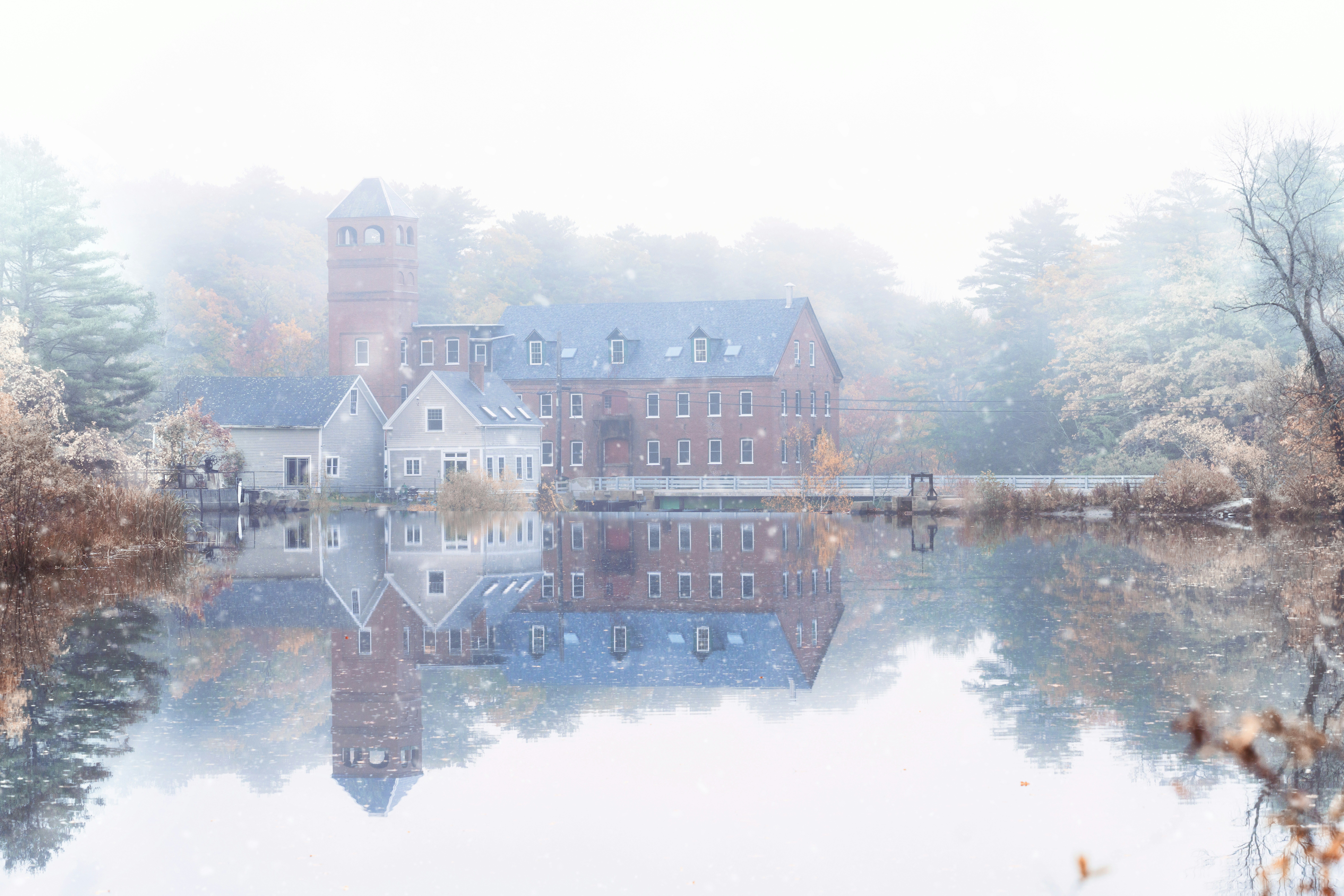 Photo by skylerewing