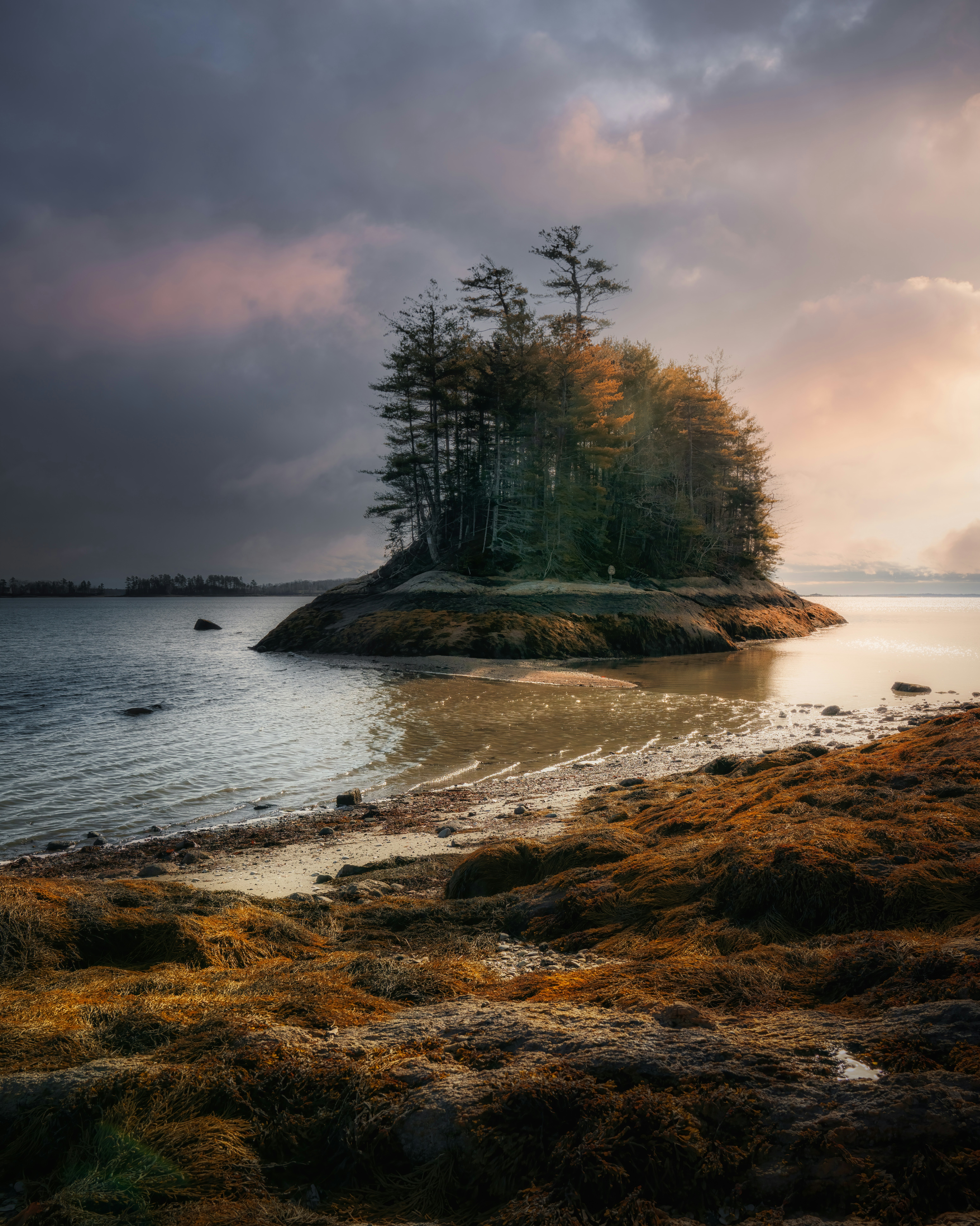 Photo by skylerewing