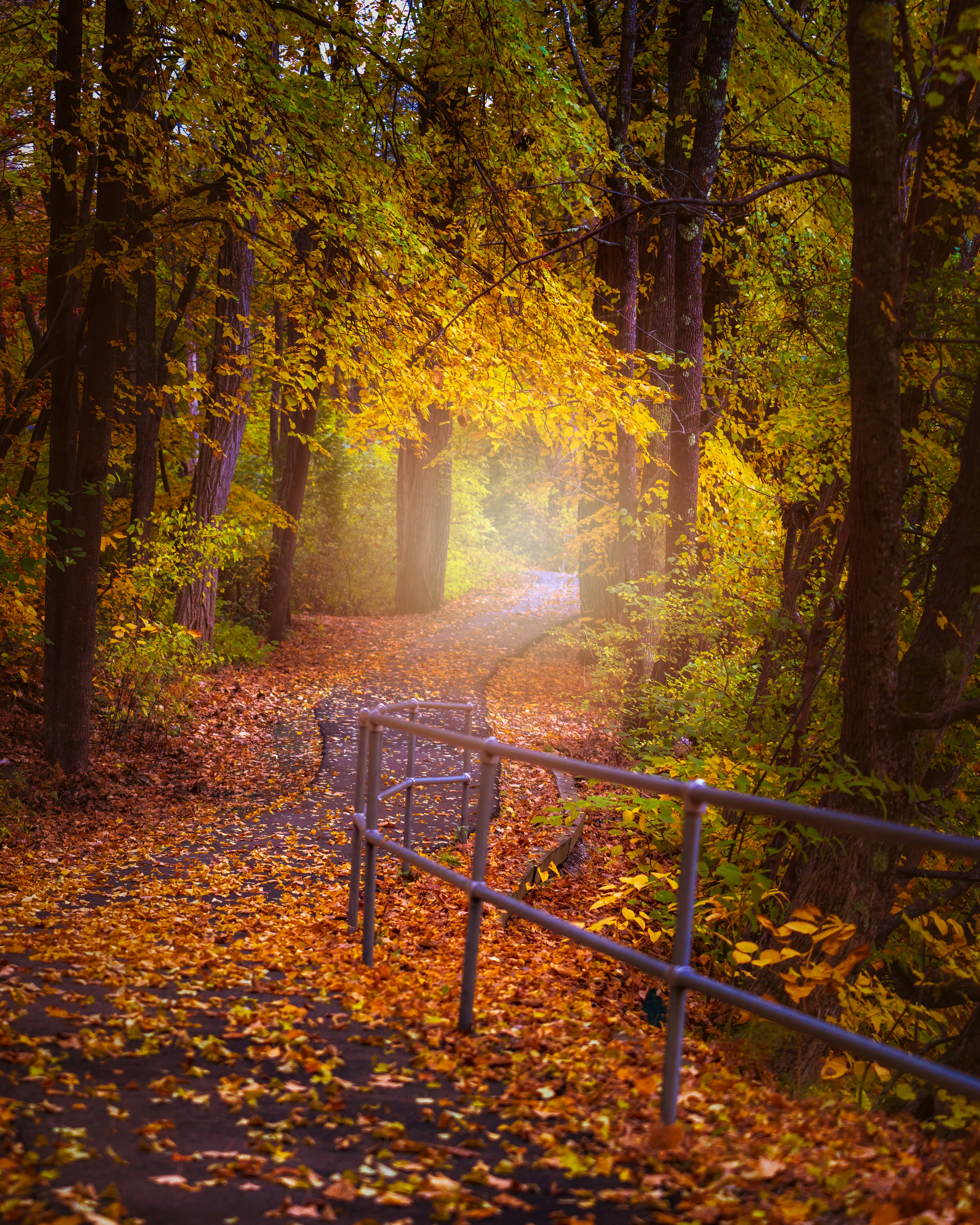 Photo by skylerewing