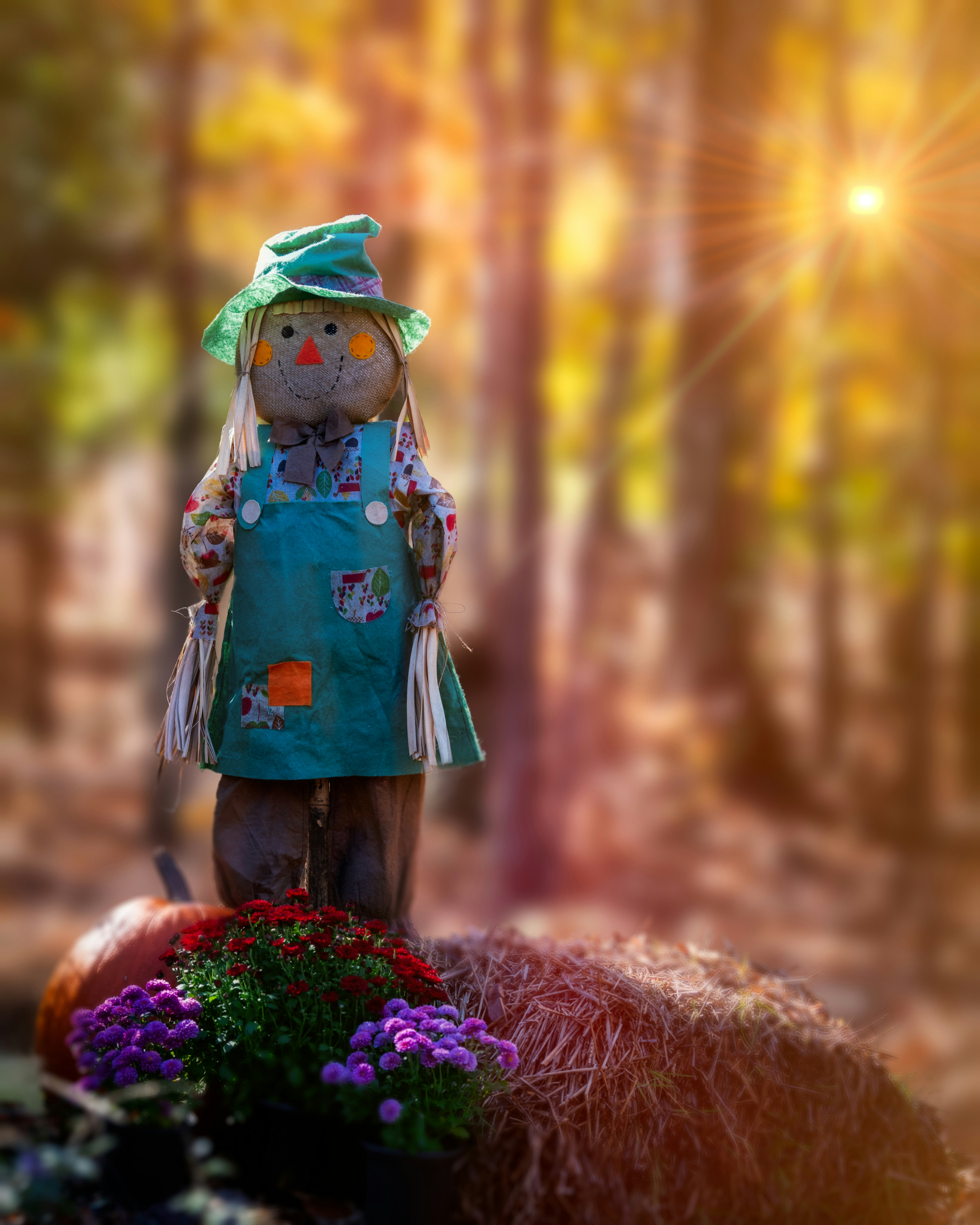 Photo by skylerewing