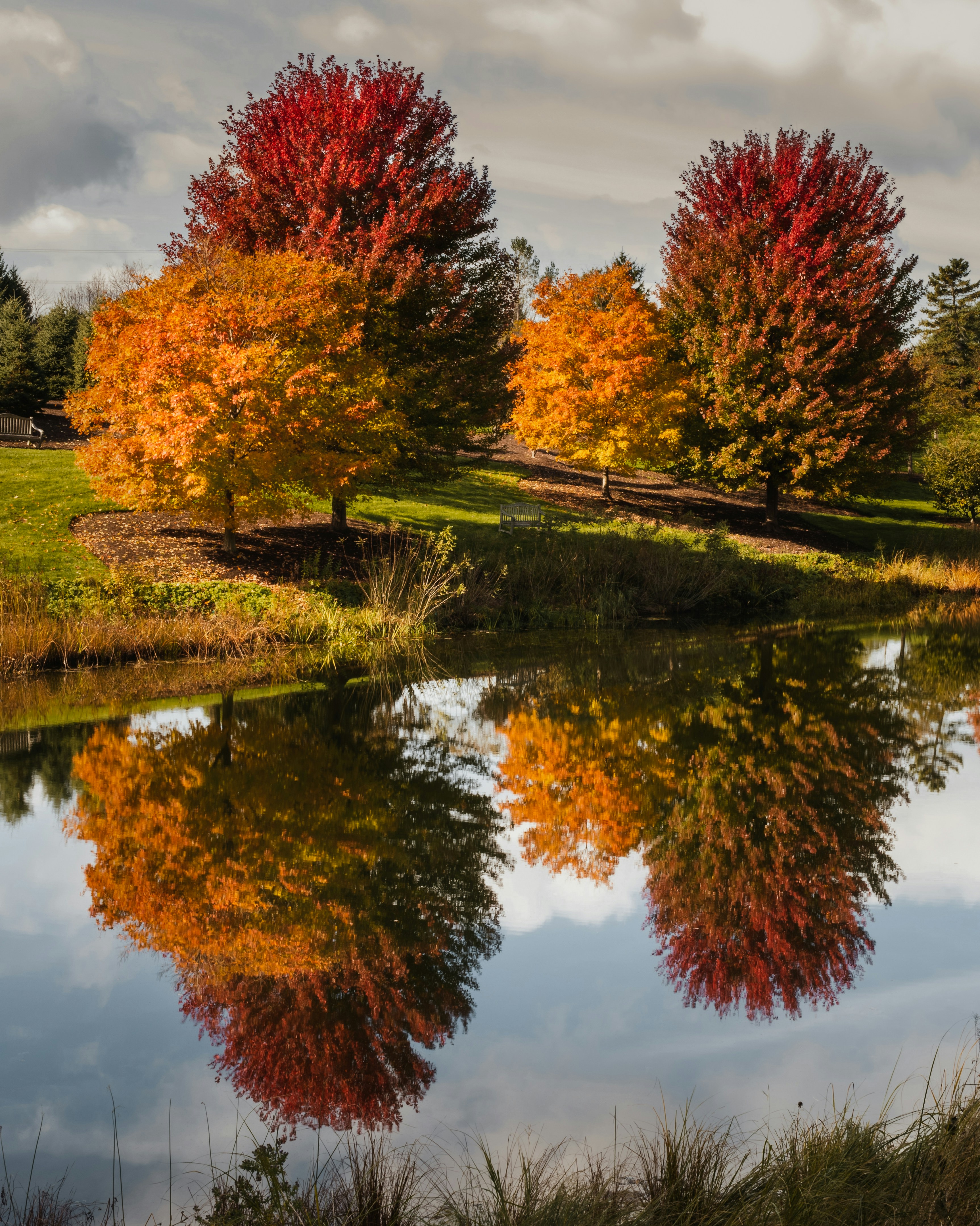 Photo by skylerewing