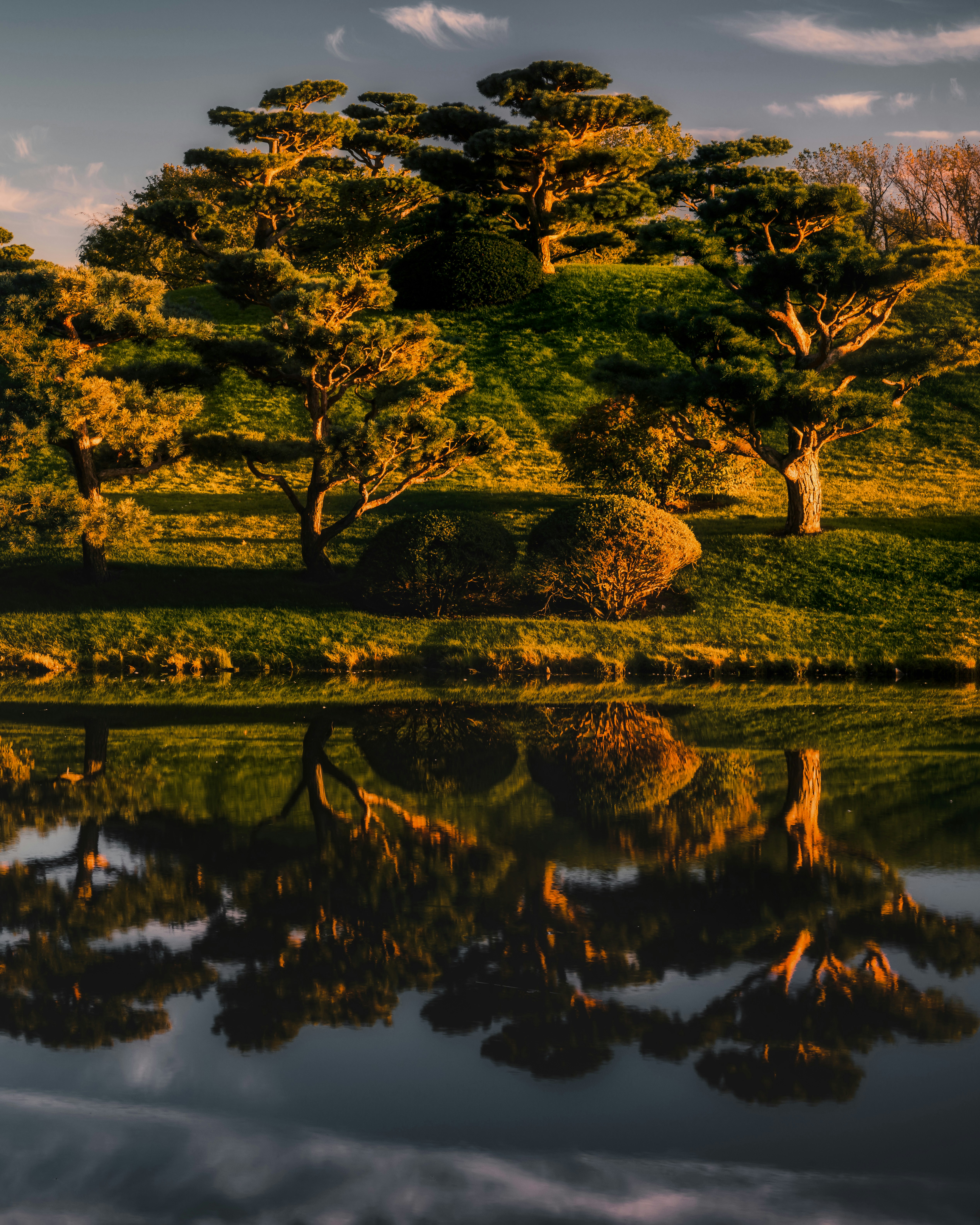 Photo by skylerewing