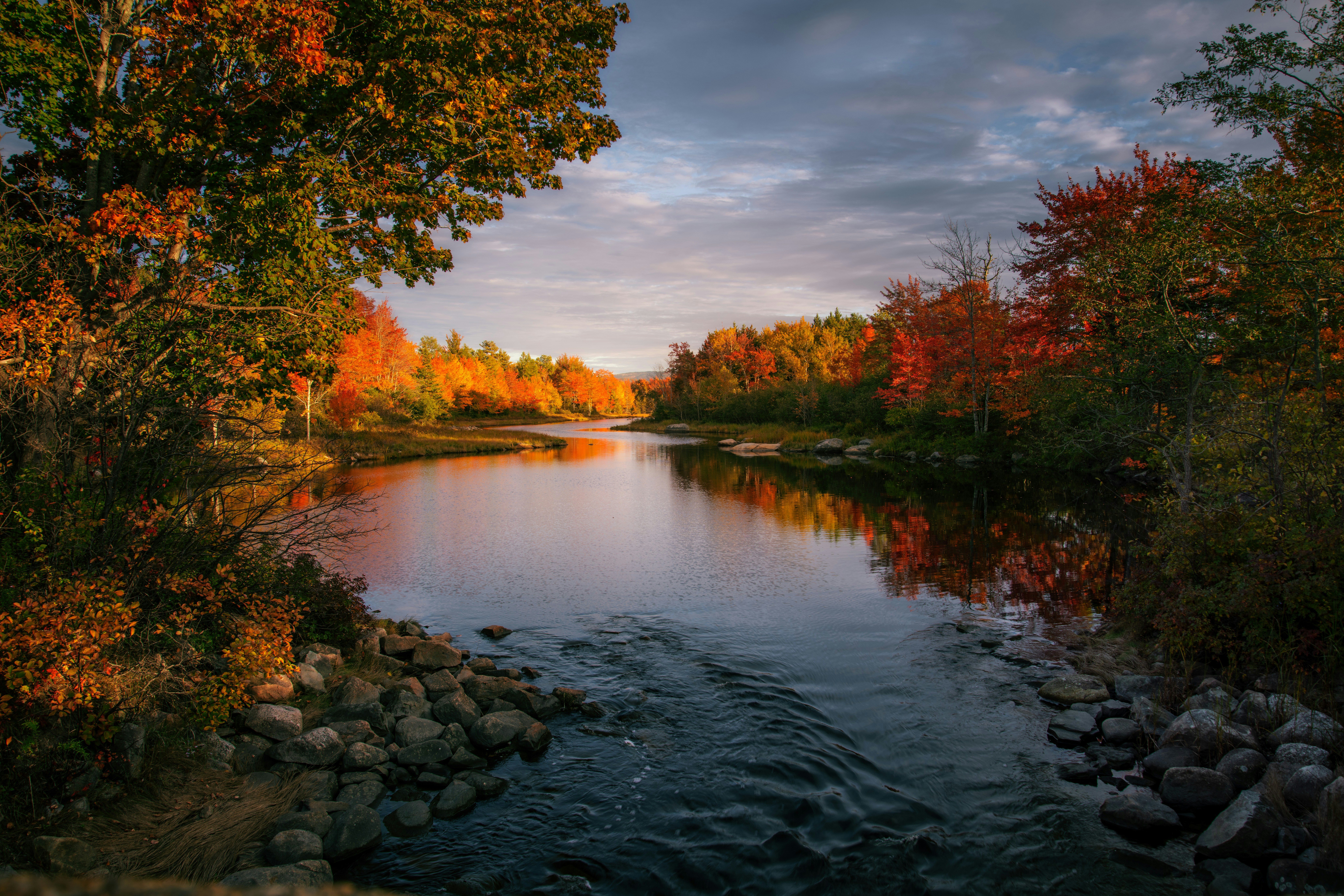 Photo by skylerewing